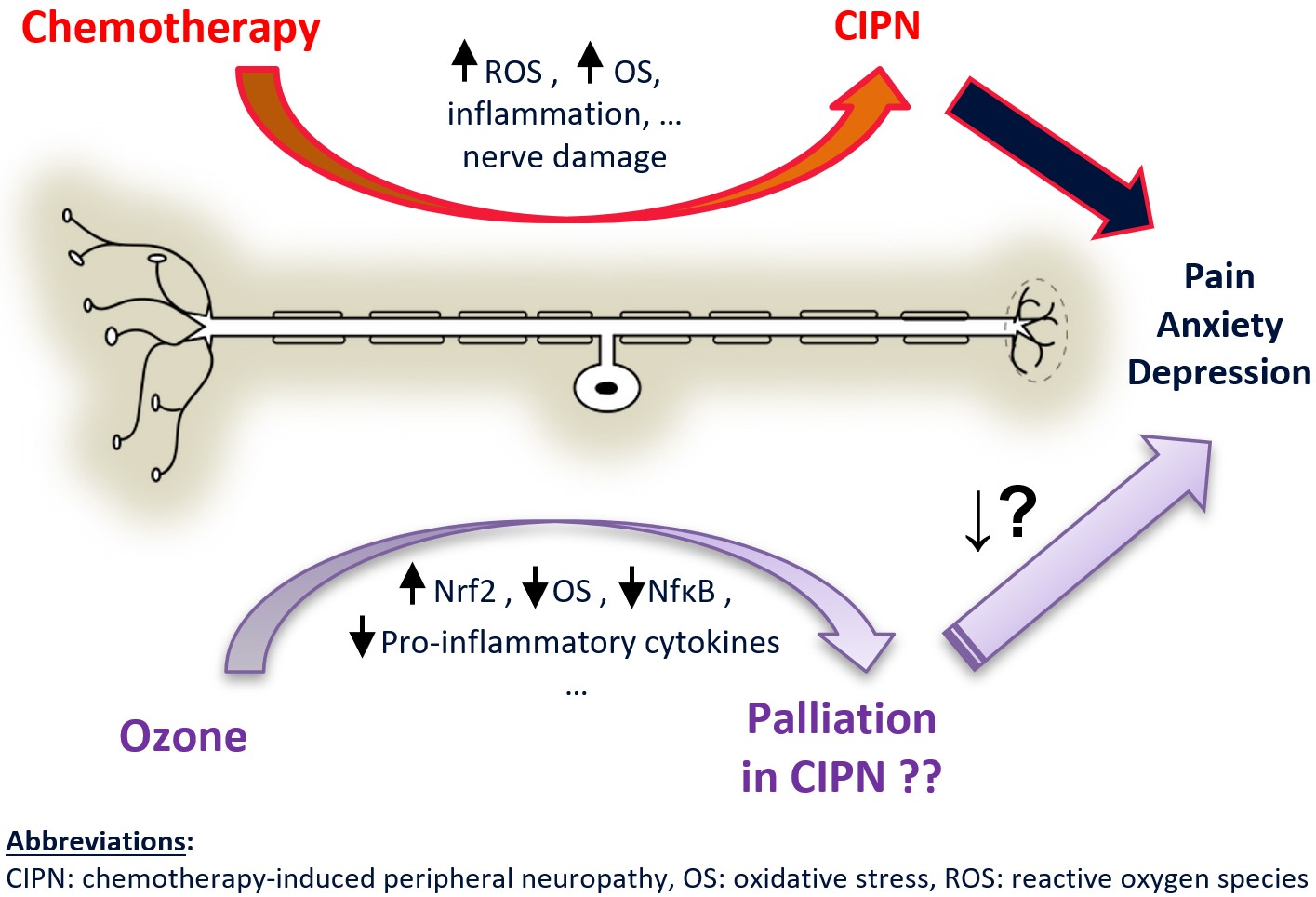 IJMS Free FullText Modulation by Ozone Therapy of Oxidative Stress