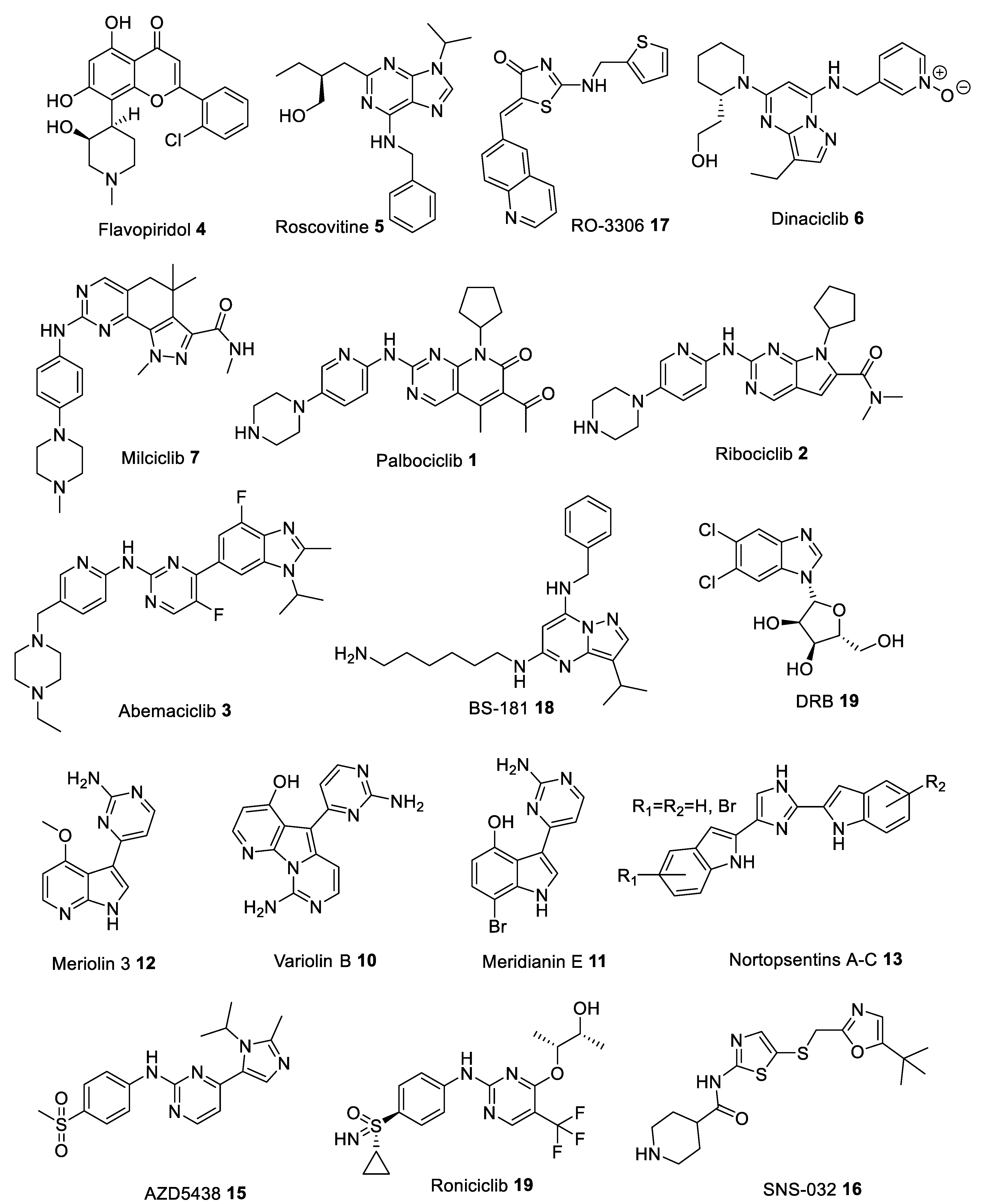 Ijms 22 02806 g003 Ijms 22 02806 g003