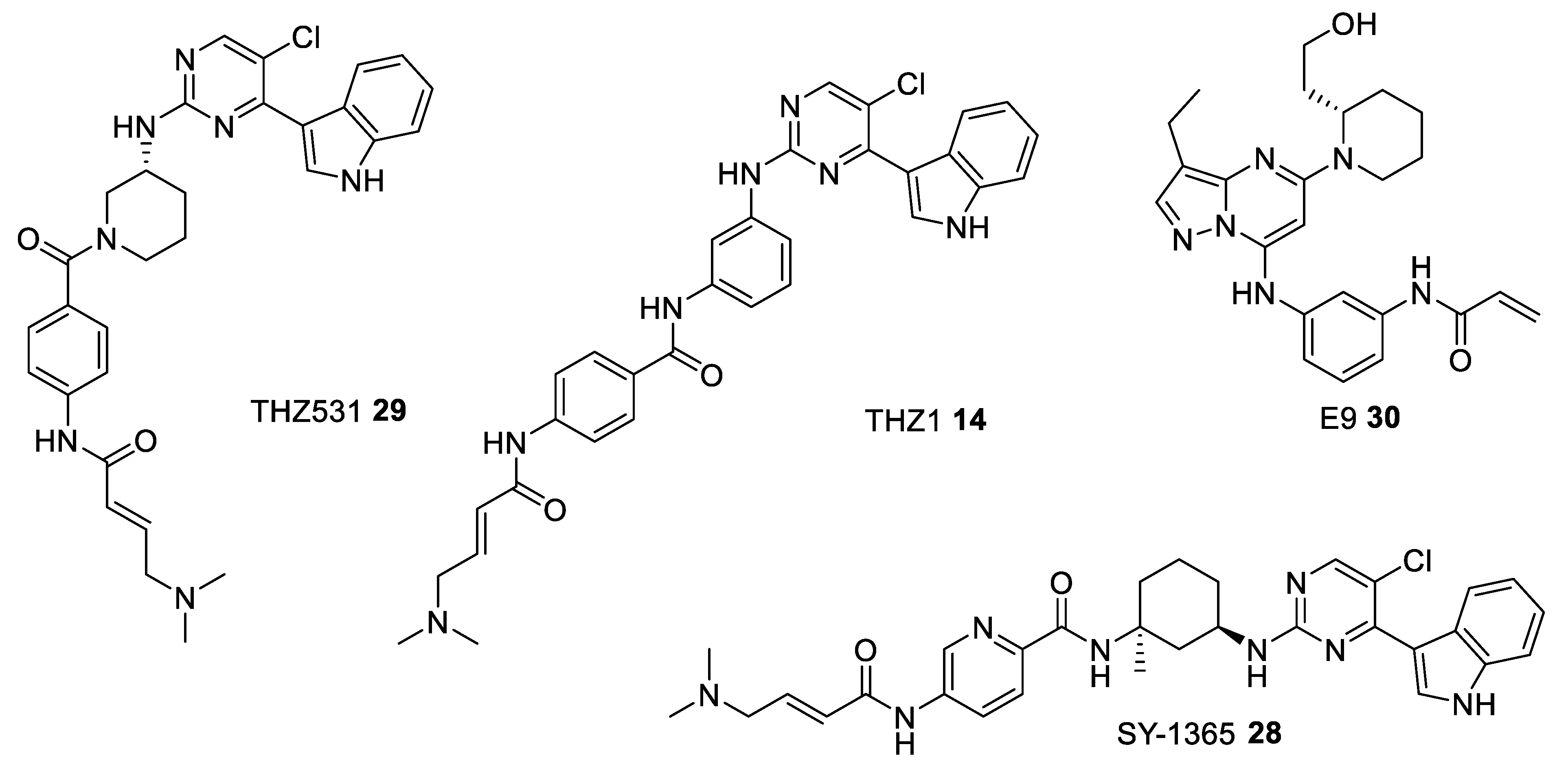 Ijms 22 02806 g007 Ijms 22 02806 g007