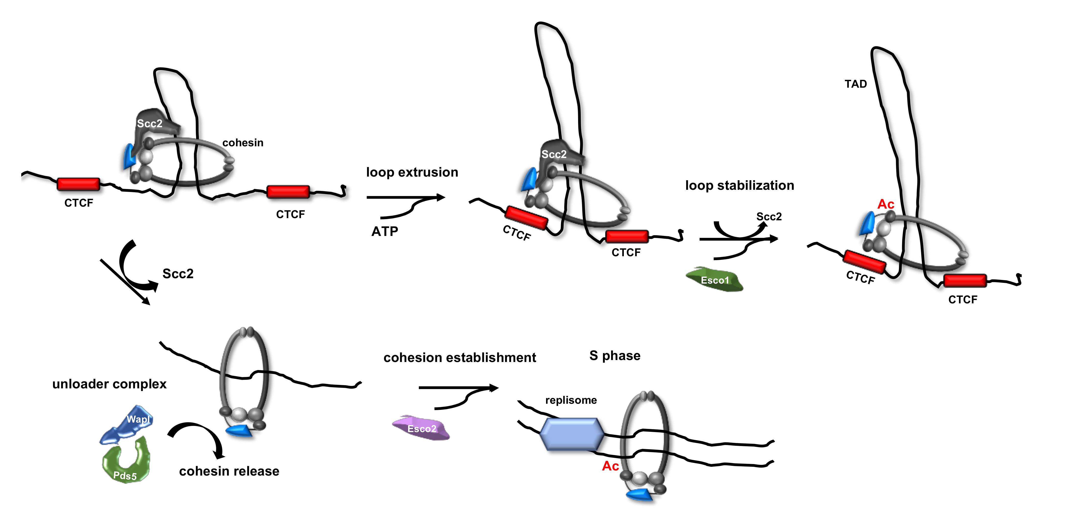 Ijms 22 02810 g003 Ijms 22 02810 g003