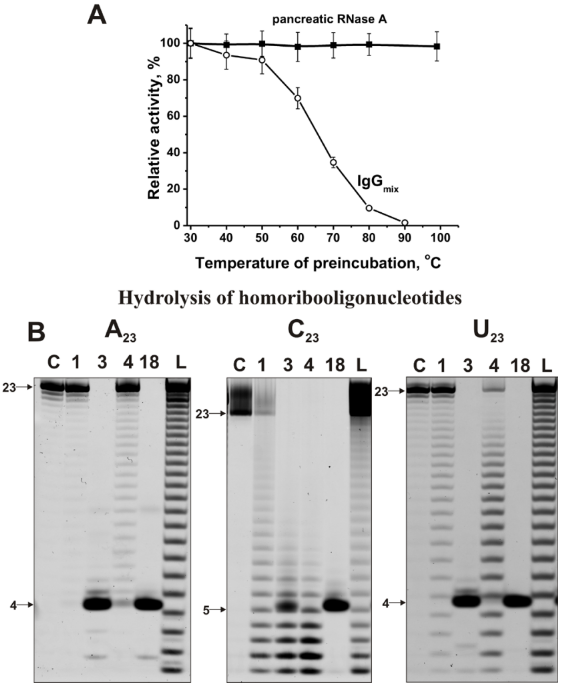 Ijms 22 02812 g002 Ijms 22 02812 g002