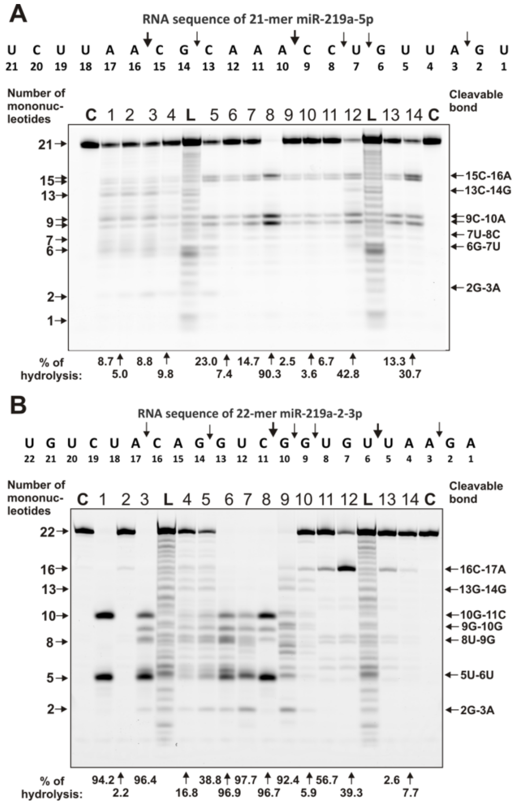 Ijms 22 02812 g003 Ijms 22 02812 g003