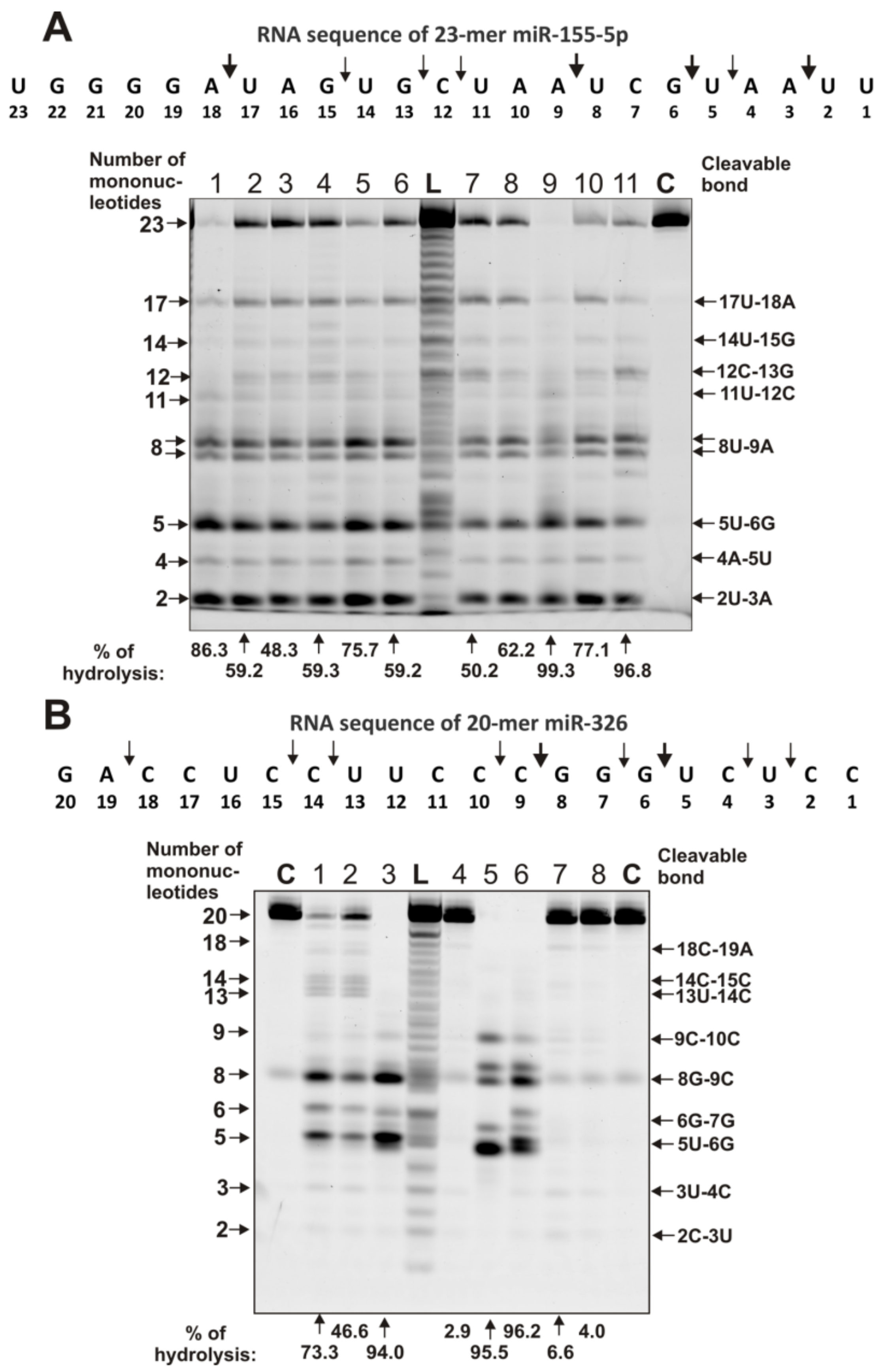 Ijms 22 02812 g006 Ijms 22 02812 g006