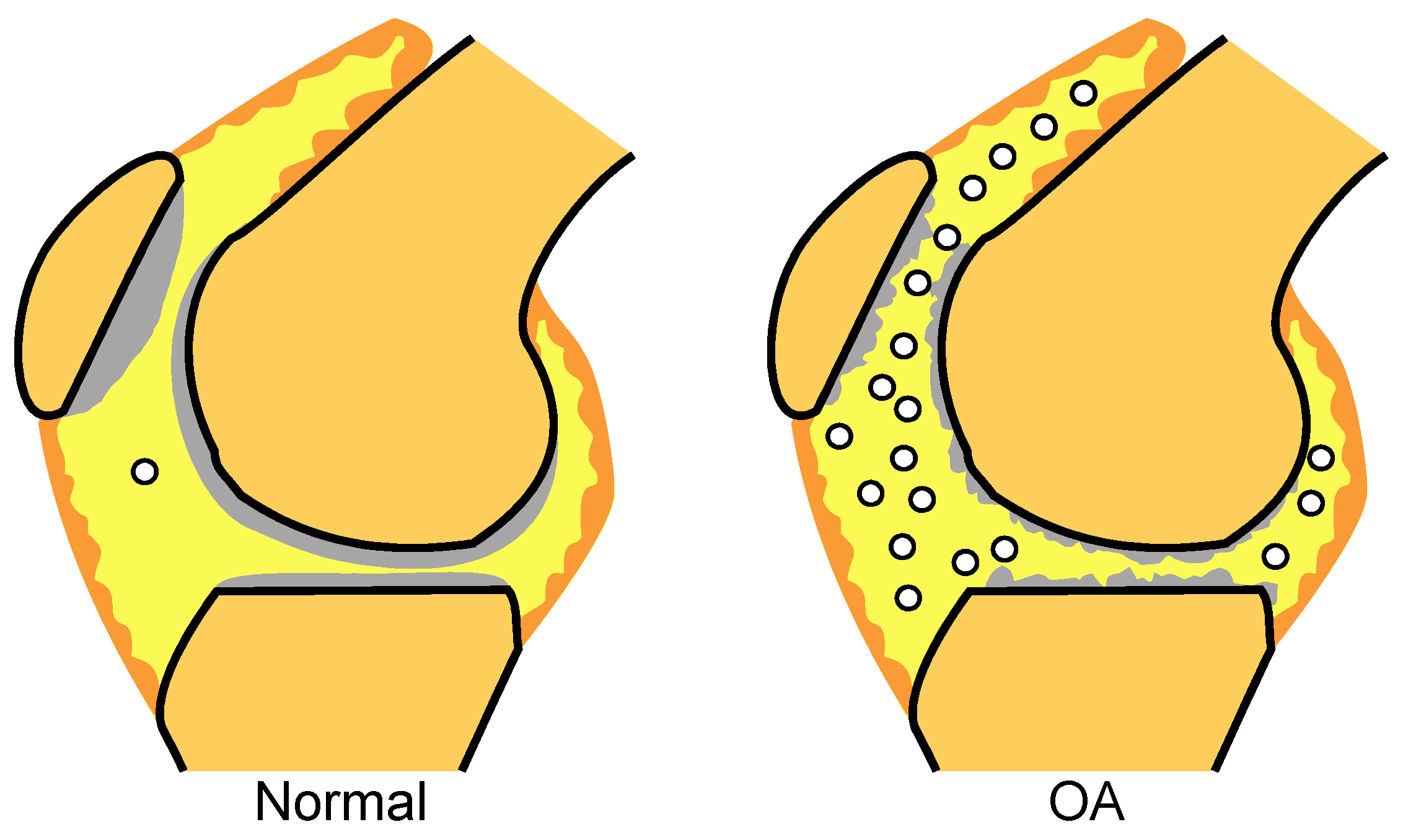Ijms 22 02838 g005 Ijms 22 02838 g005