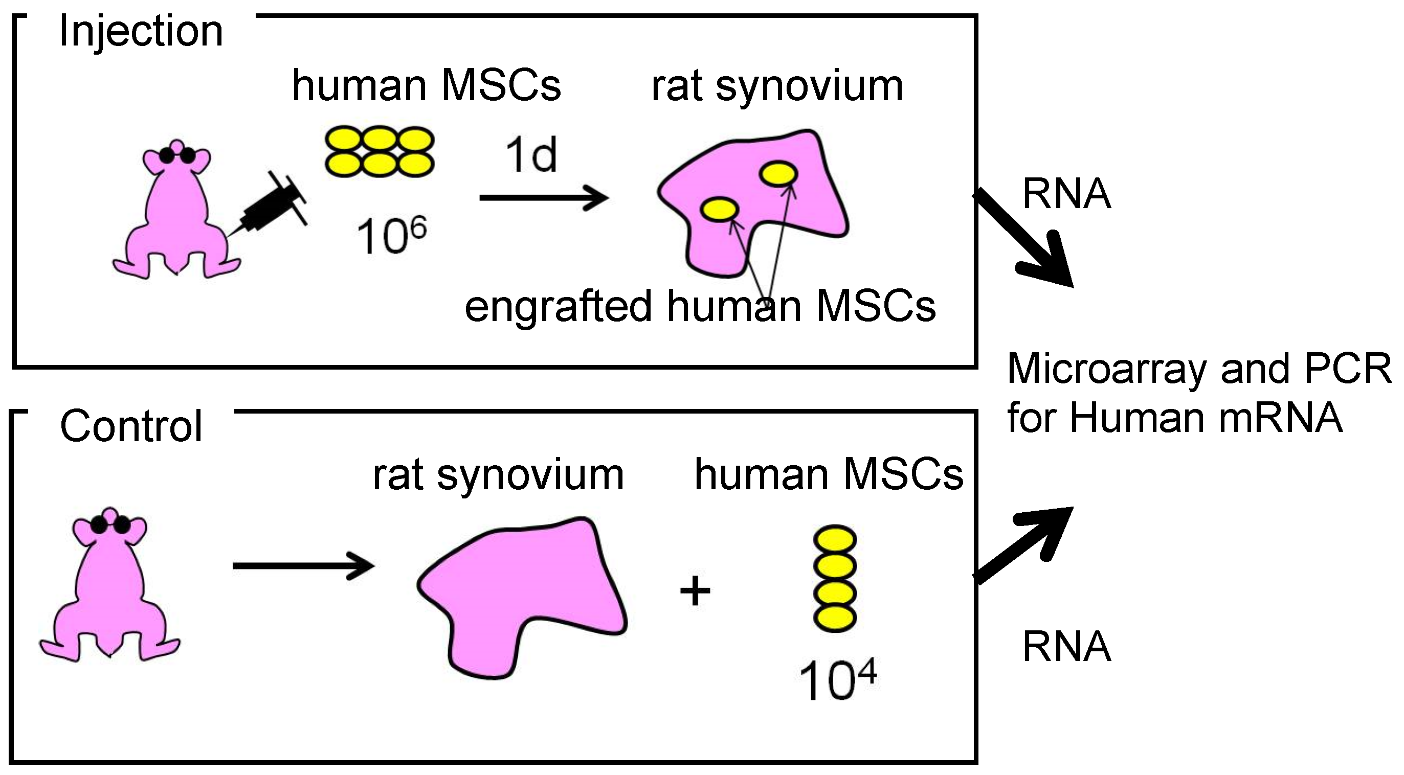 Ijms 22 02838 g008 Ijms 22 02838 g008