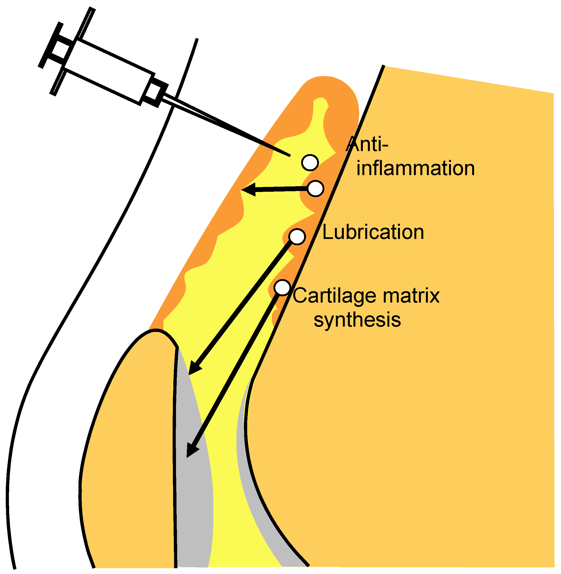 Ijms 22 02838 g009 Ijms 22 02838 g009
