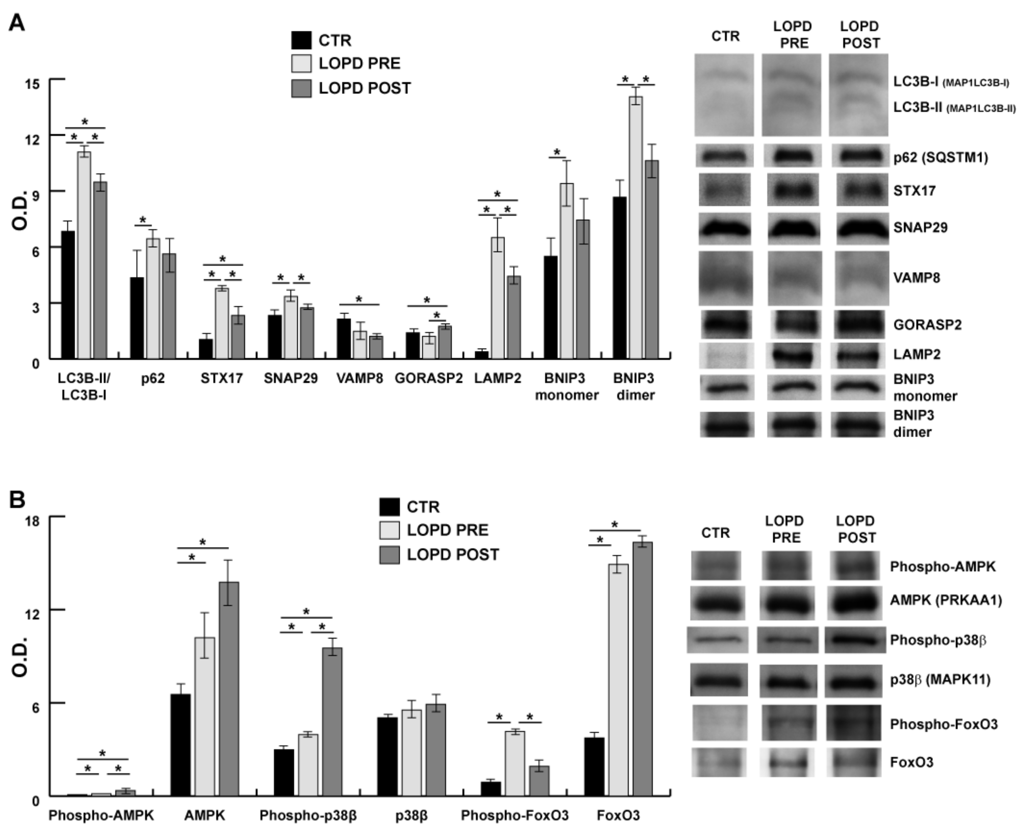 Ijms 22 02850 g007 Ijms 22 02850 g007