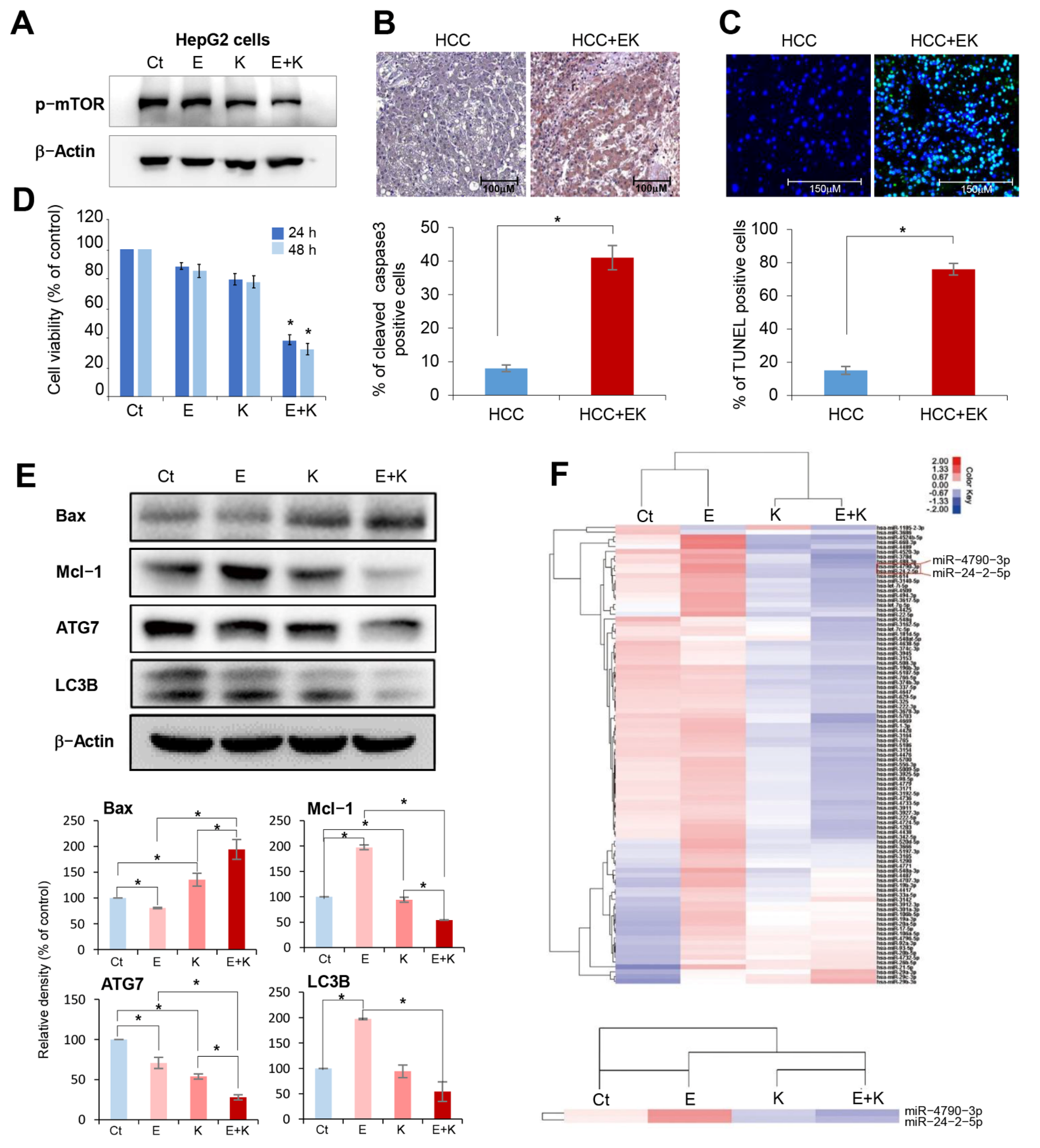 Ijms 22 02859 g001 Ijms 22 02859 g001