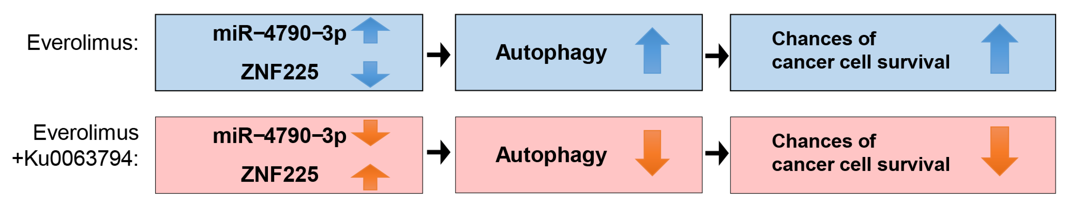 Ijms 22 02859 g006 Ijms 22 02859 g006