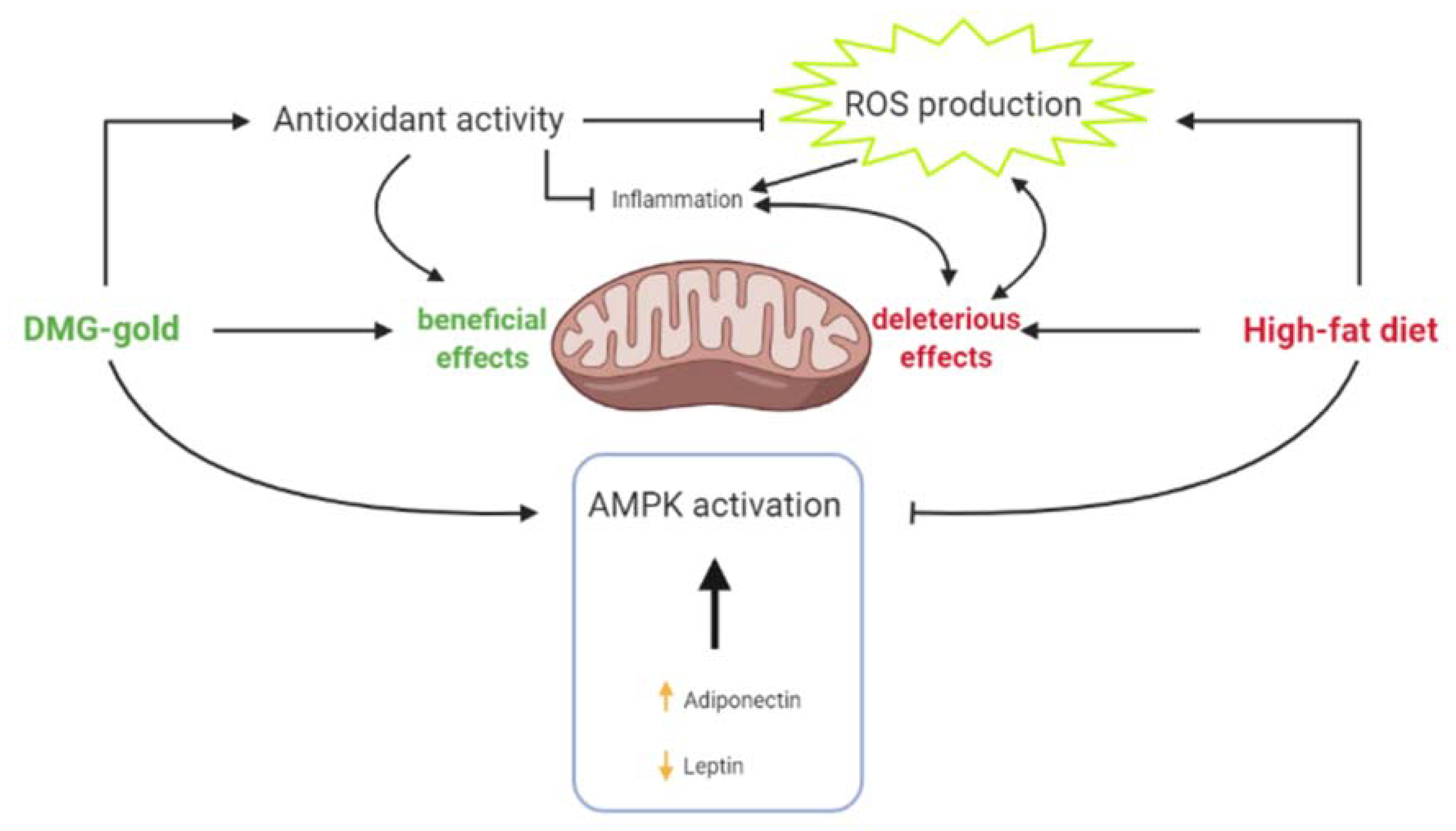 Ijms 22 02862 g008 Ijms 22 02862 g008