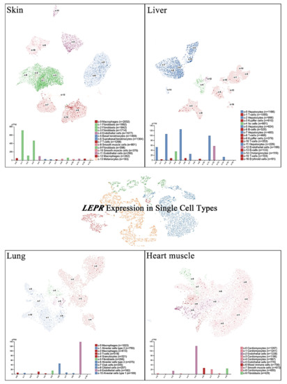 Ijms 22 02870 g002 550
