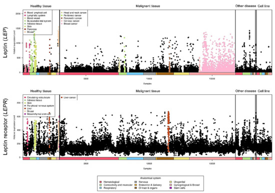 Ijms 22 02870 g003 550