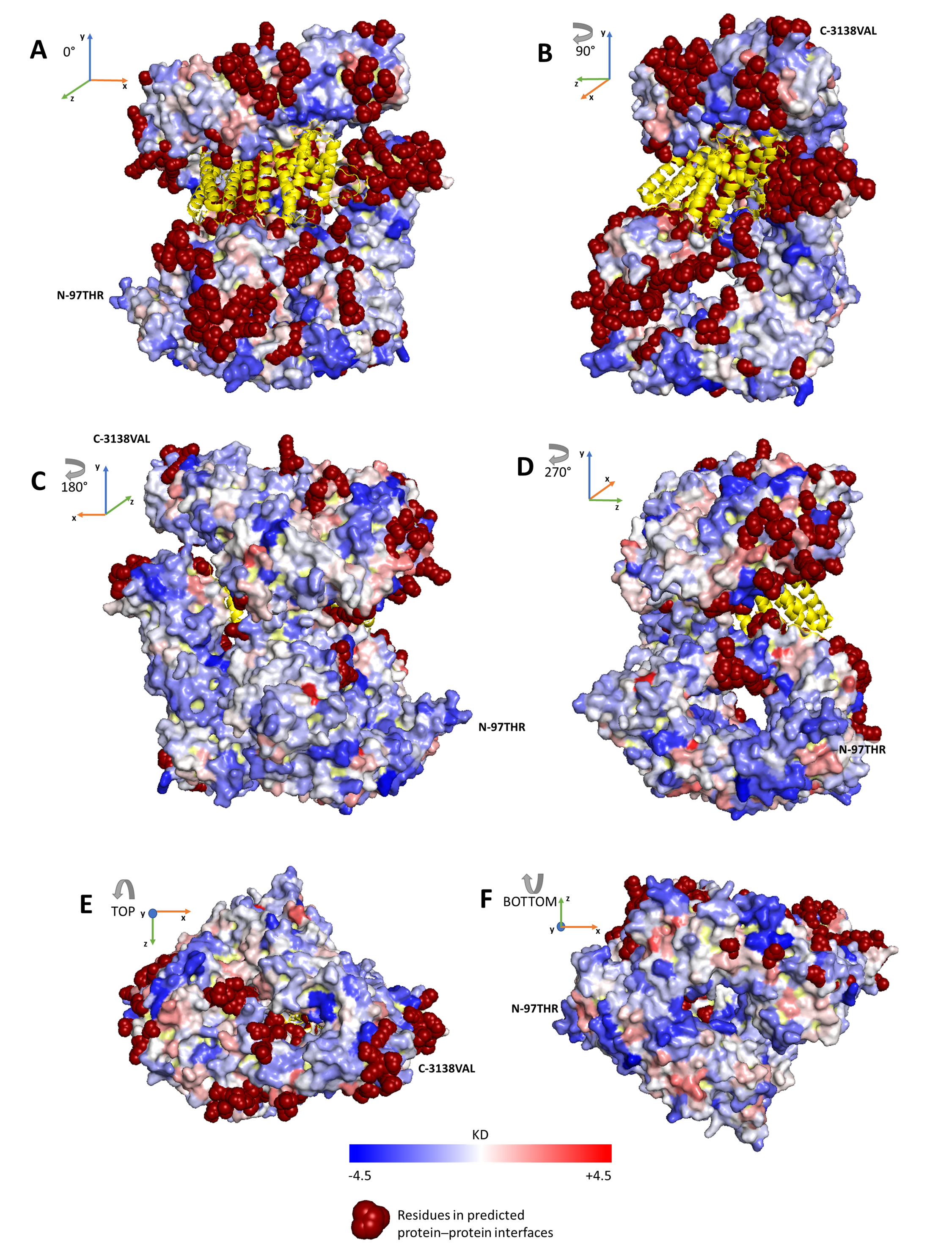 Ijms 22 02878 g003 Ijms 22 02878 g003