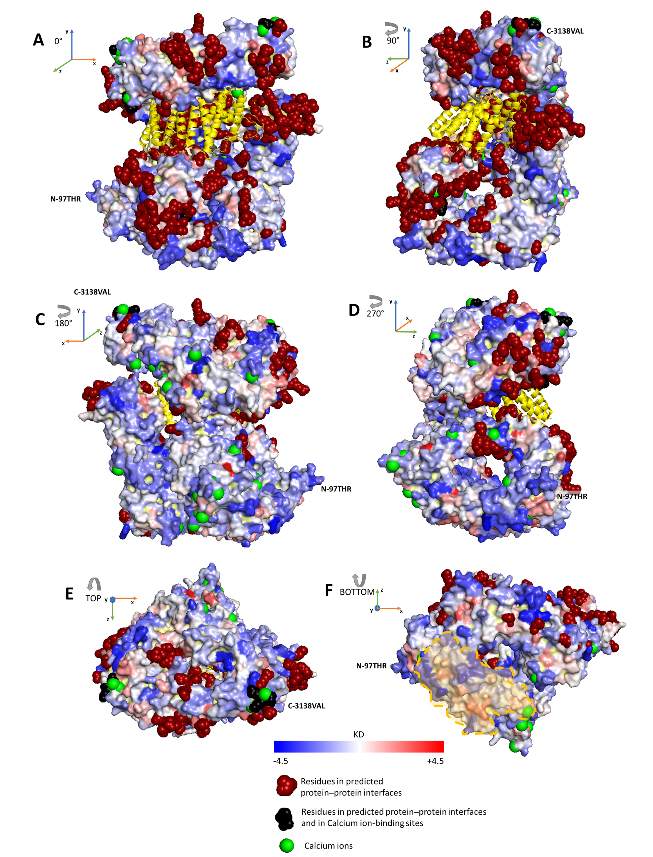 Ijms 22 02878 g005 Ijms 22 02878 g005
