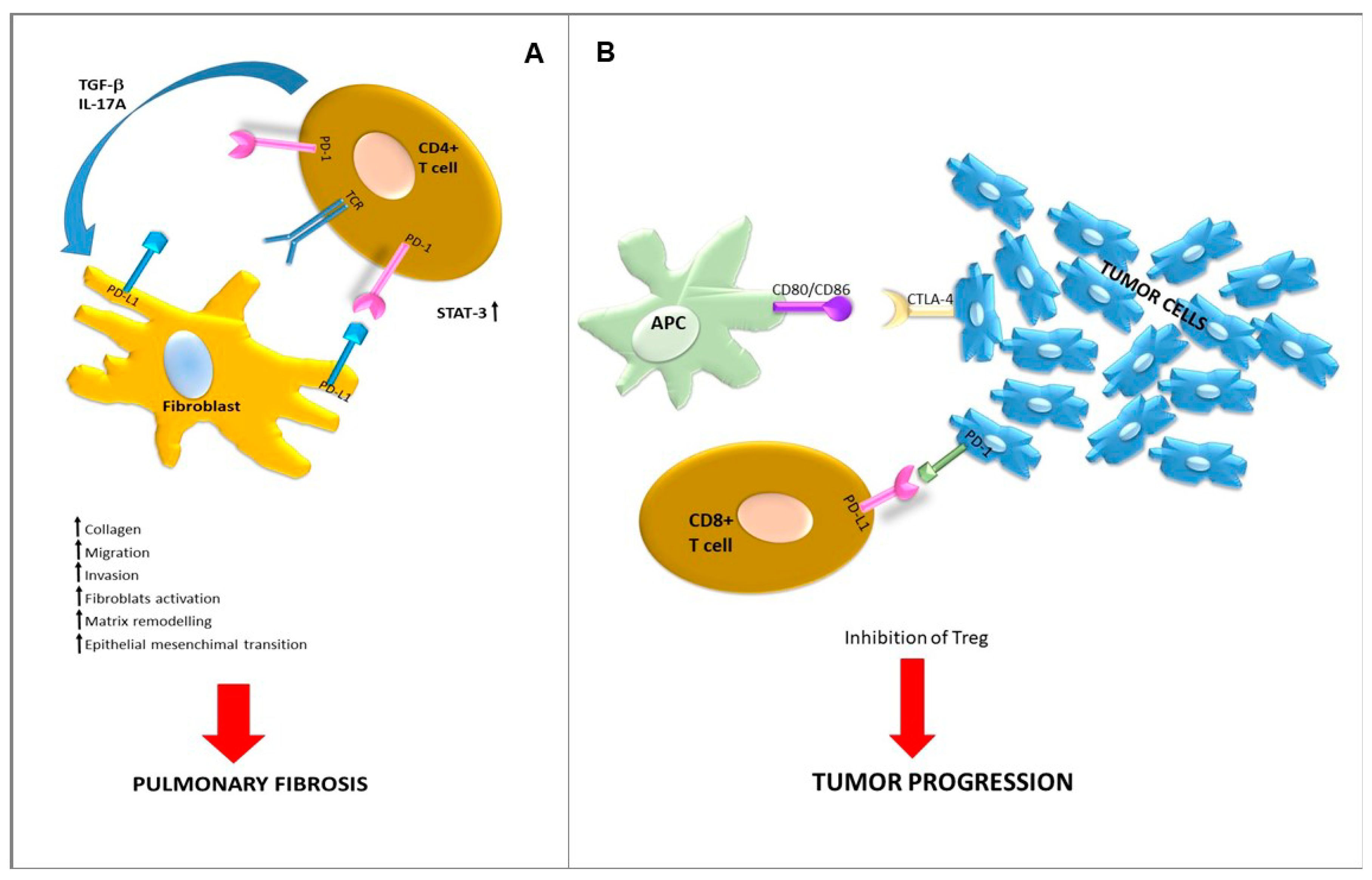 Ijms 22 02882 g002 Ijms 22 02882 g002