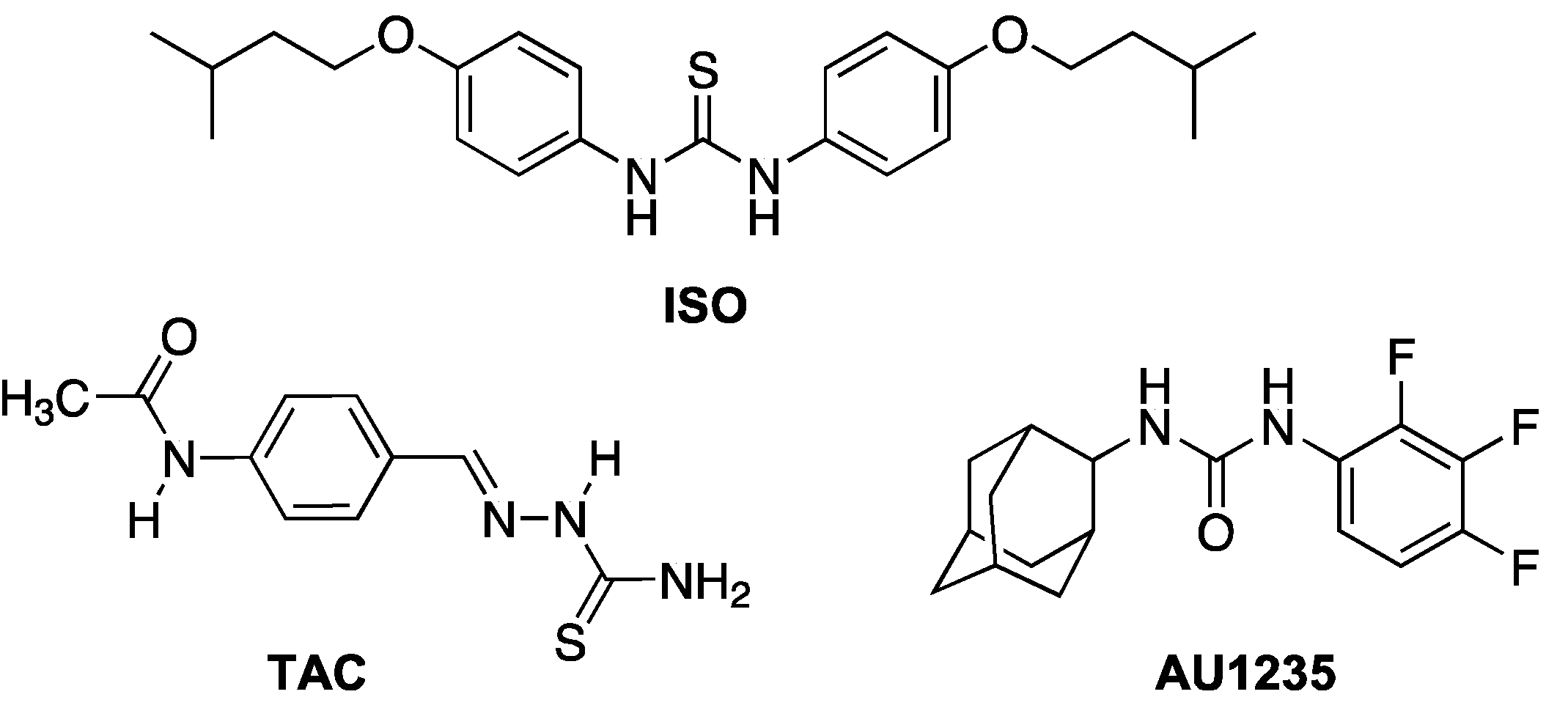 Ijms 22 02884 g001 Ijms 22 02884 g001