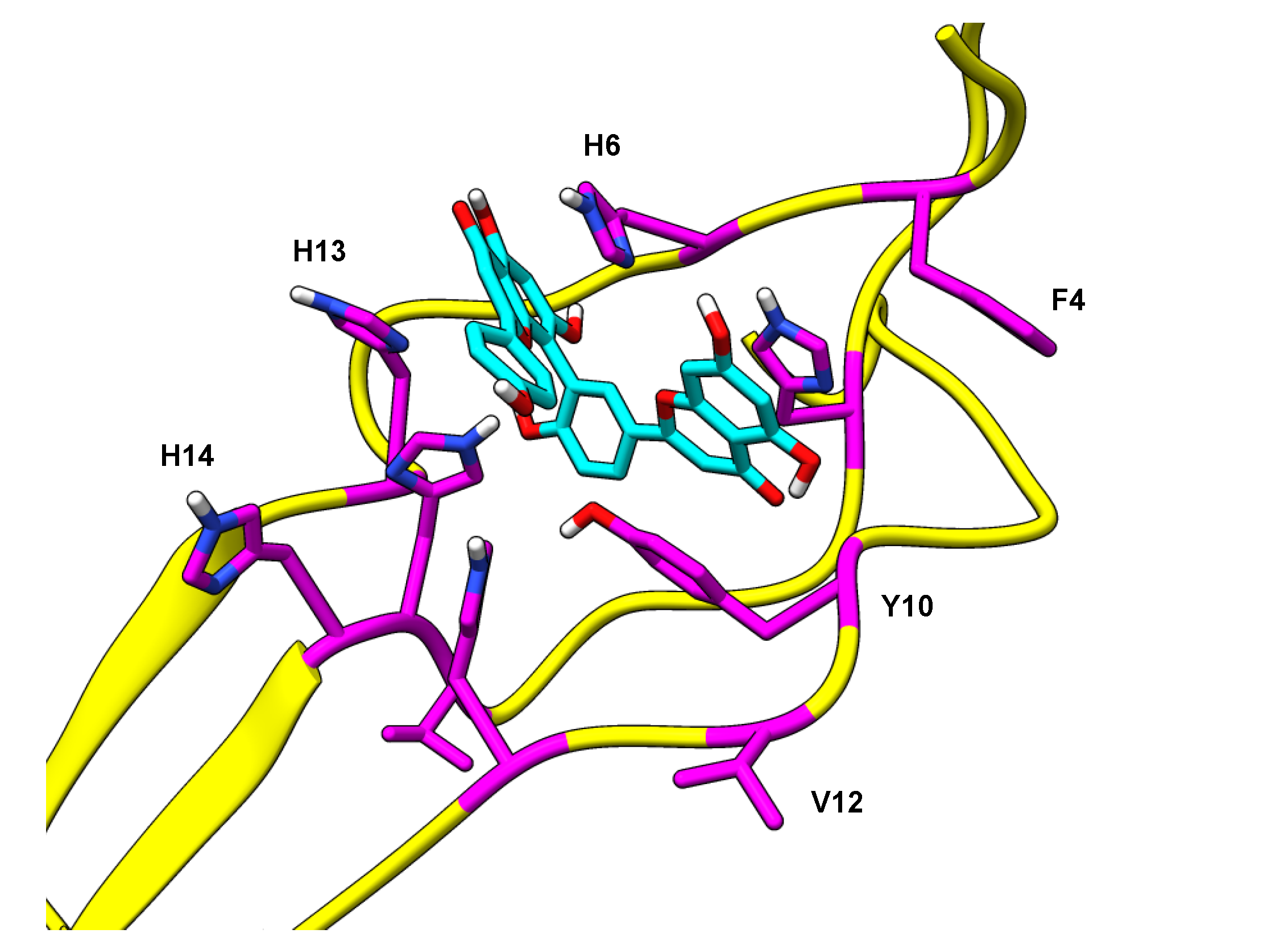 Ijms 22 02888 g006 Ijms 22 02888 g006
