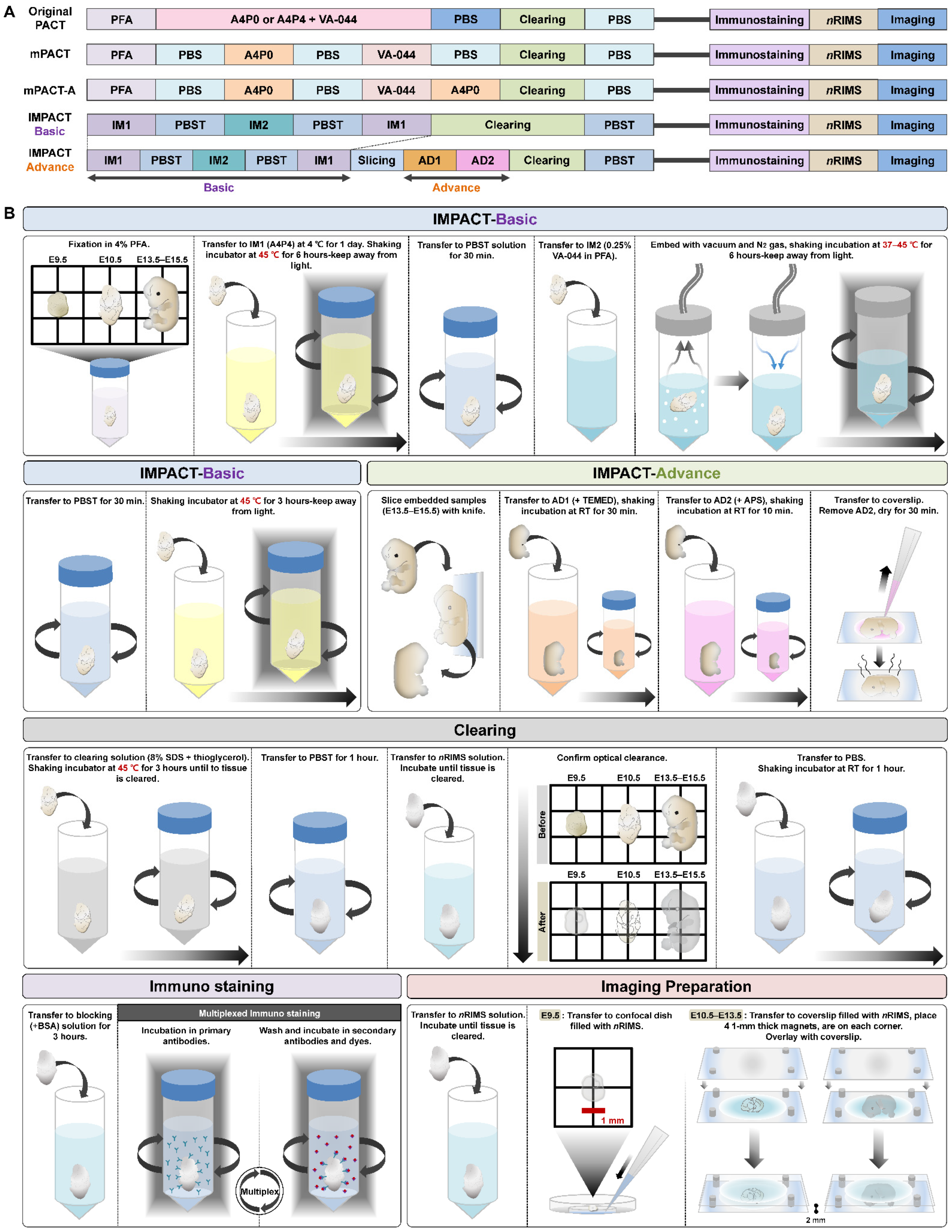 Ijms 22 02892 g001 Ijms 22 02892 g001