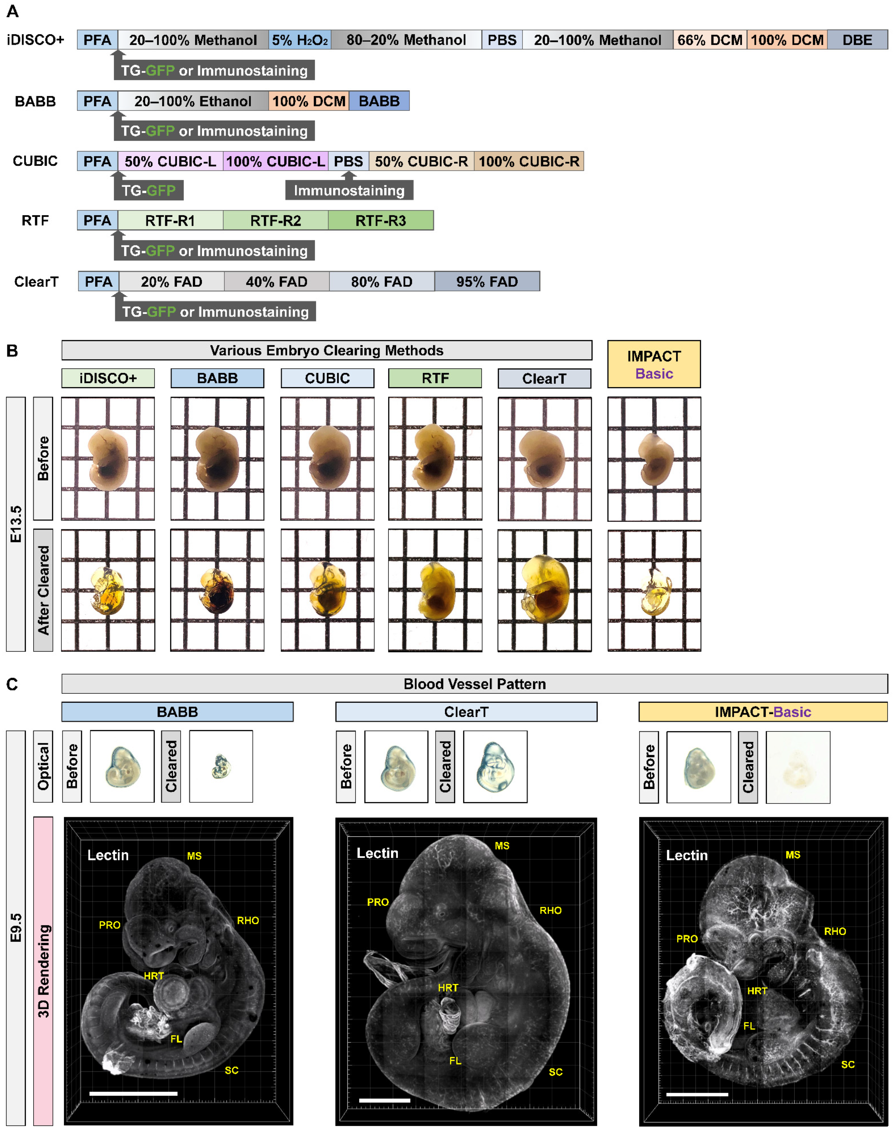 Ijms 22 02892 g003 Ijms 22 02892 g003