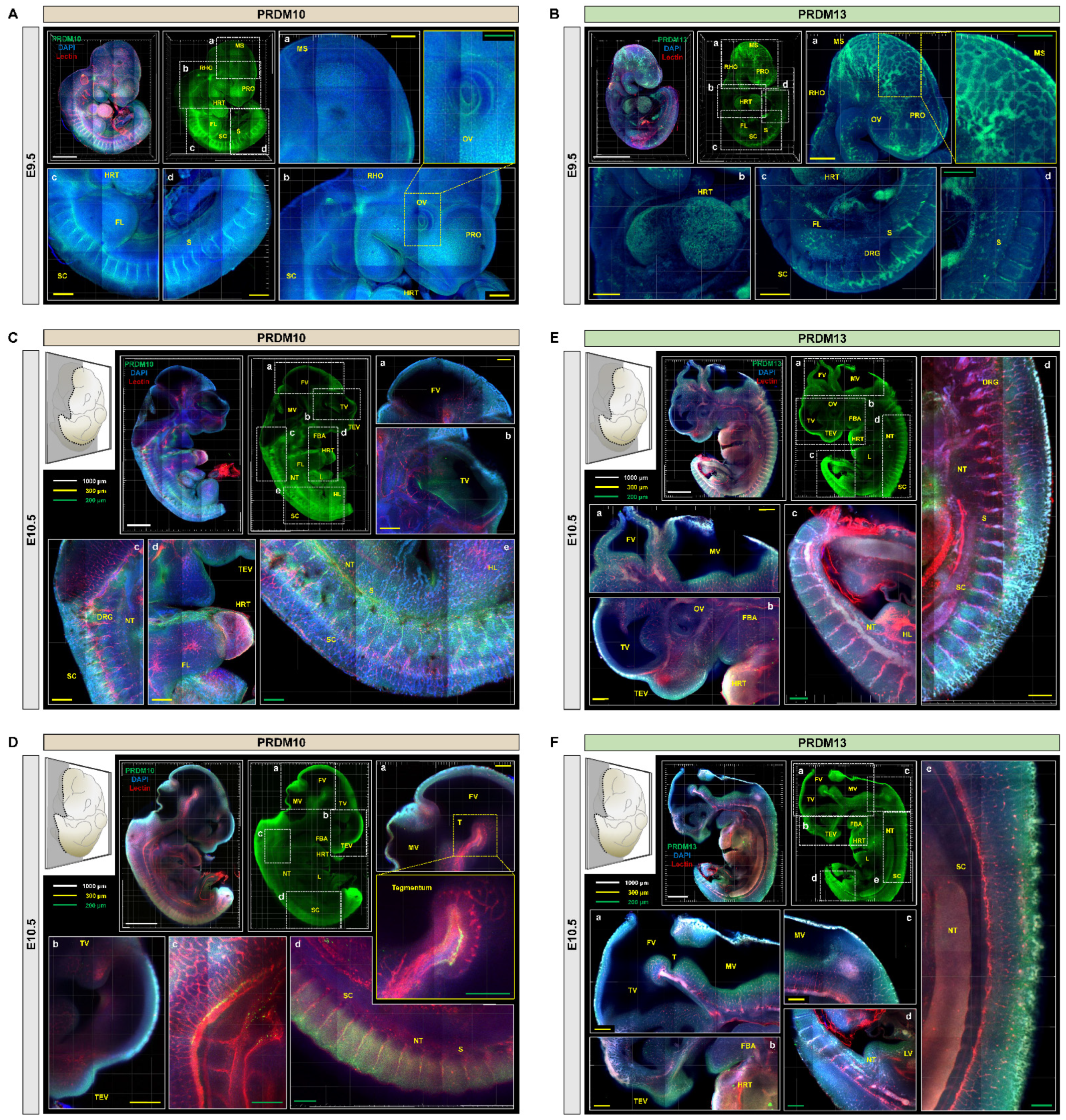 Ijms 22 02892 g004 Ijms 22 02892 g004