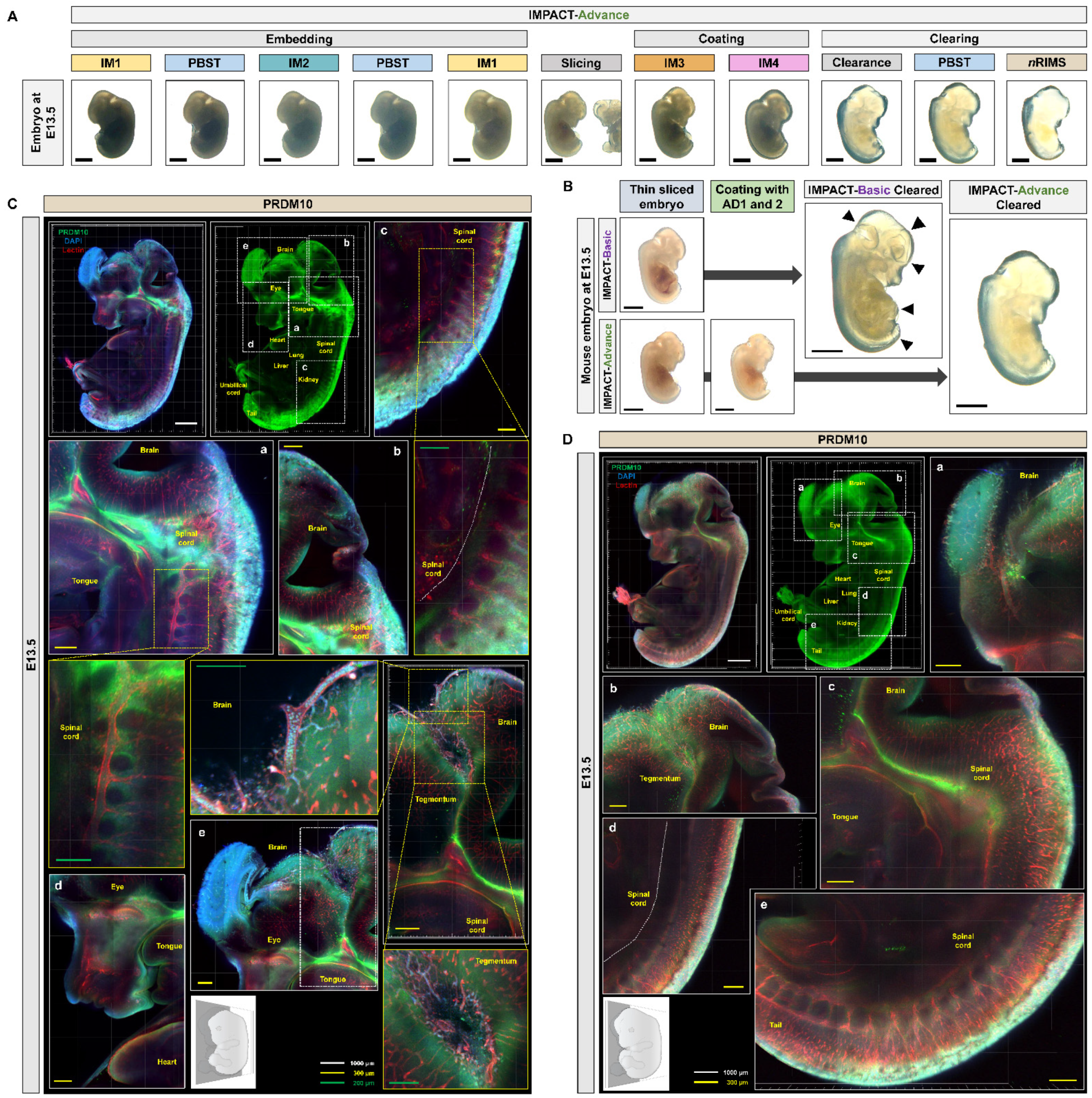 Ijms 22 02892 g005 Ijms 22 02892 g005