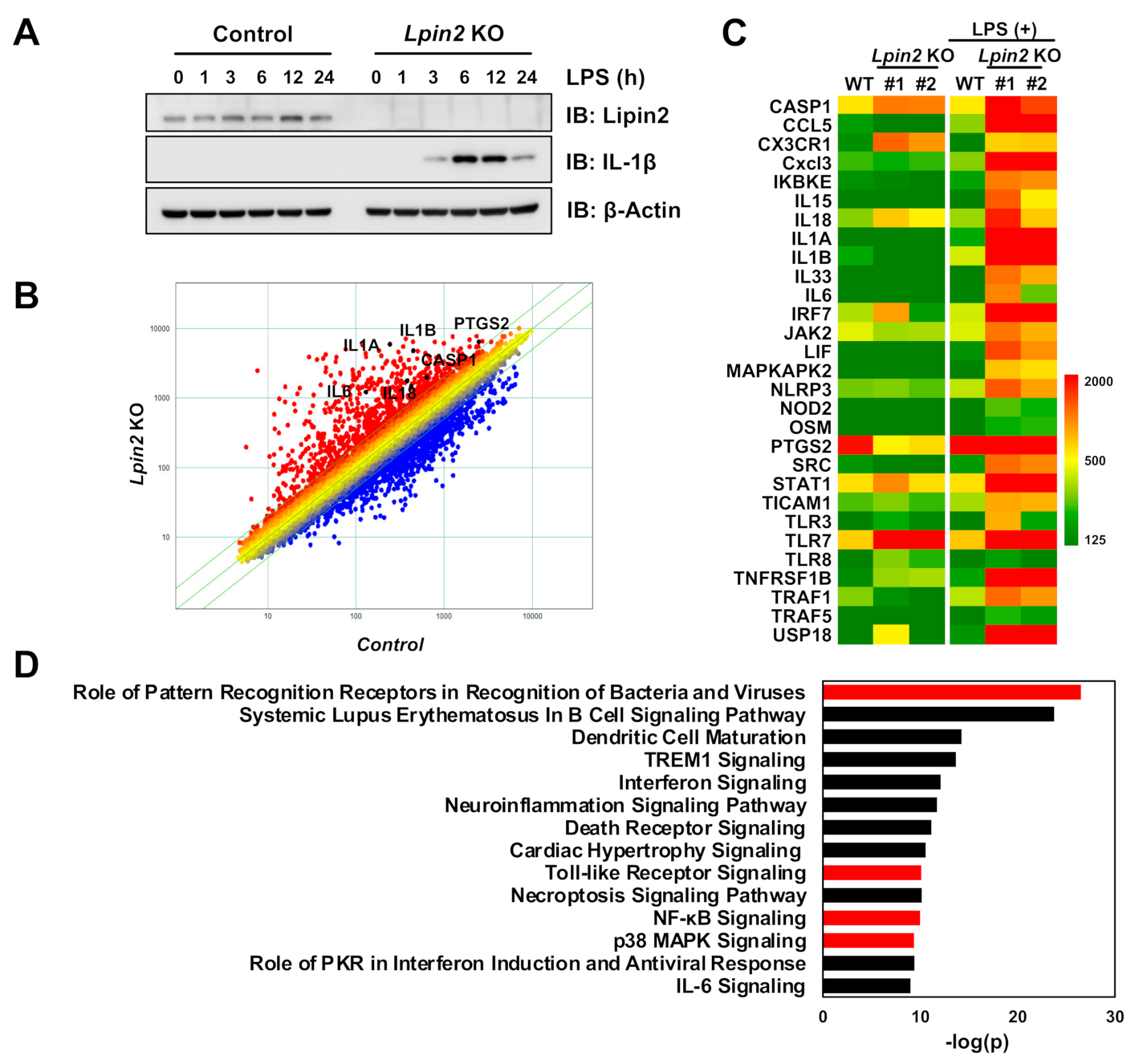 Ijms 22 02893 g001 Ijms 22 02893 g001