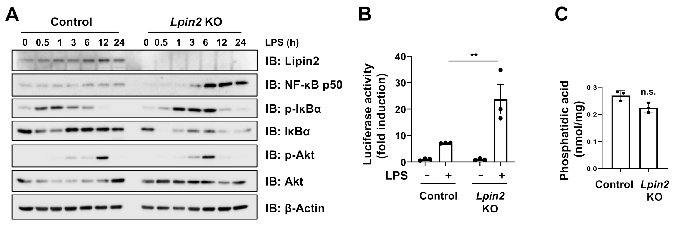 Ijms 22 02893 g002 Ijms 22 02893 g002
