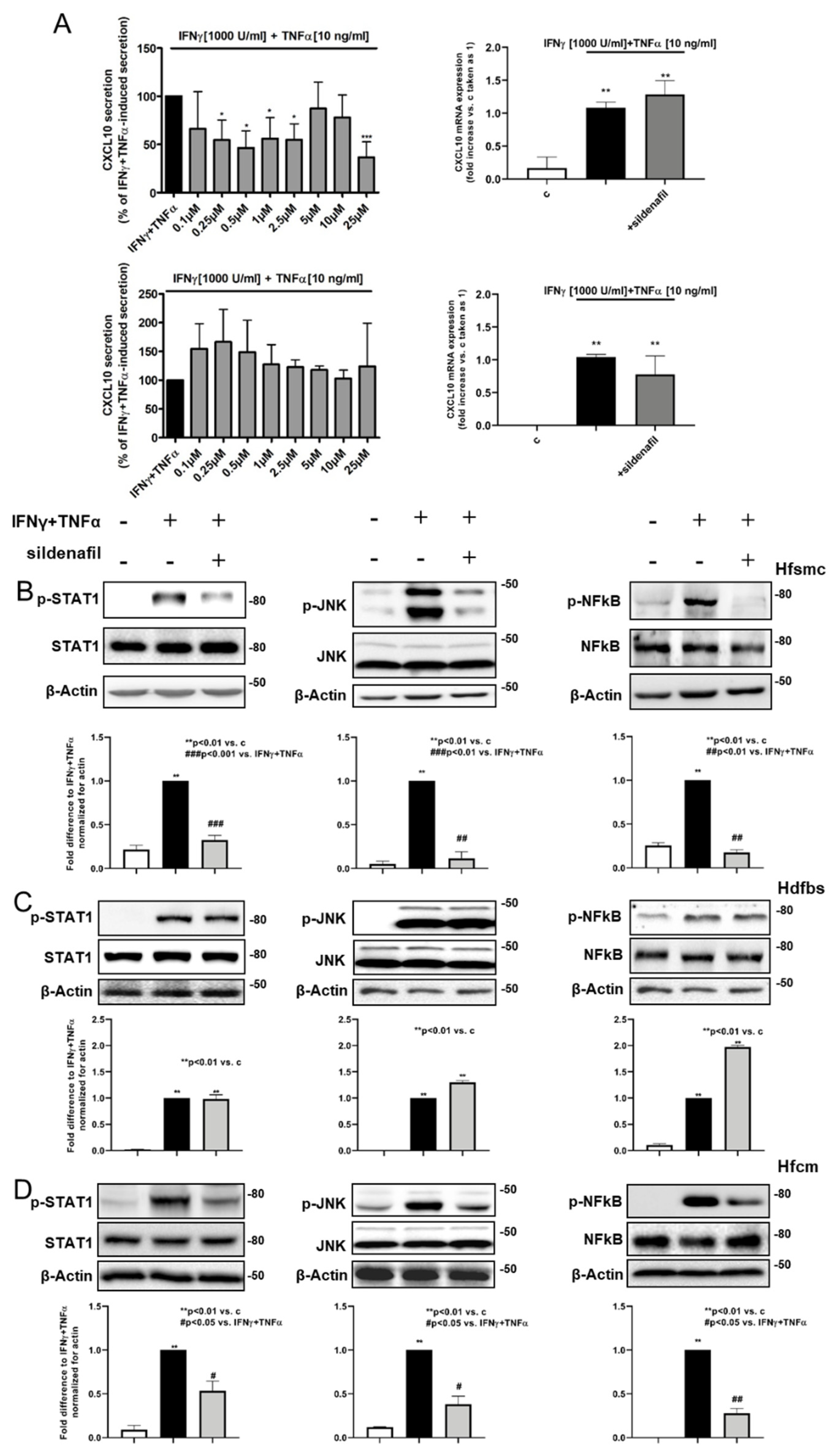Ijms 22 02894 g003 Ijms 22 02894 g003