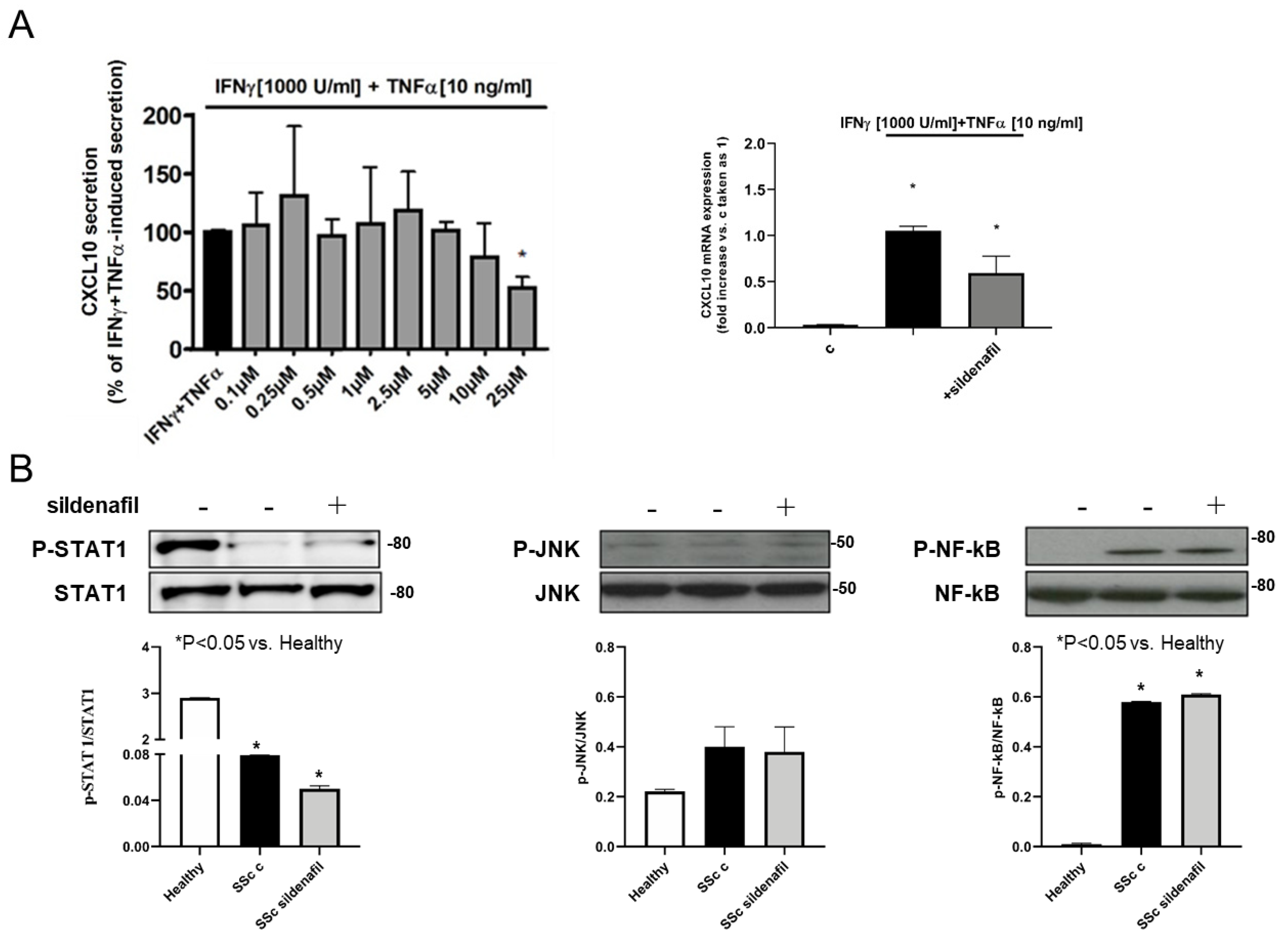 Ijms 22 02894 g004 Ijms 22 02894 g004