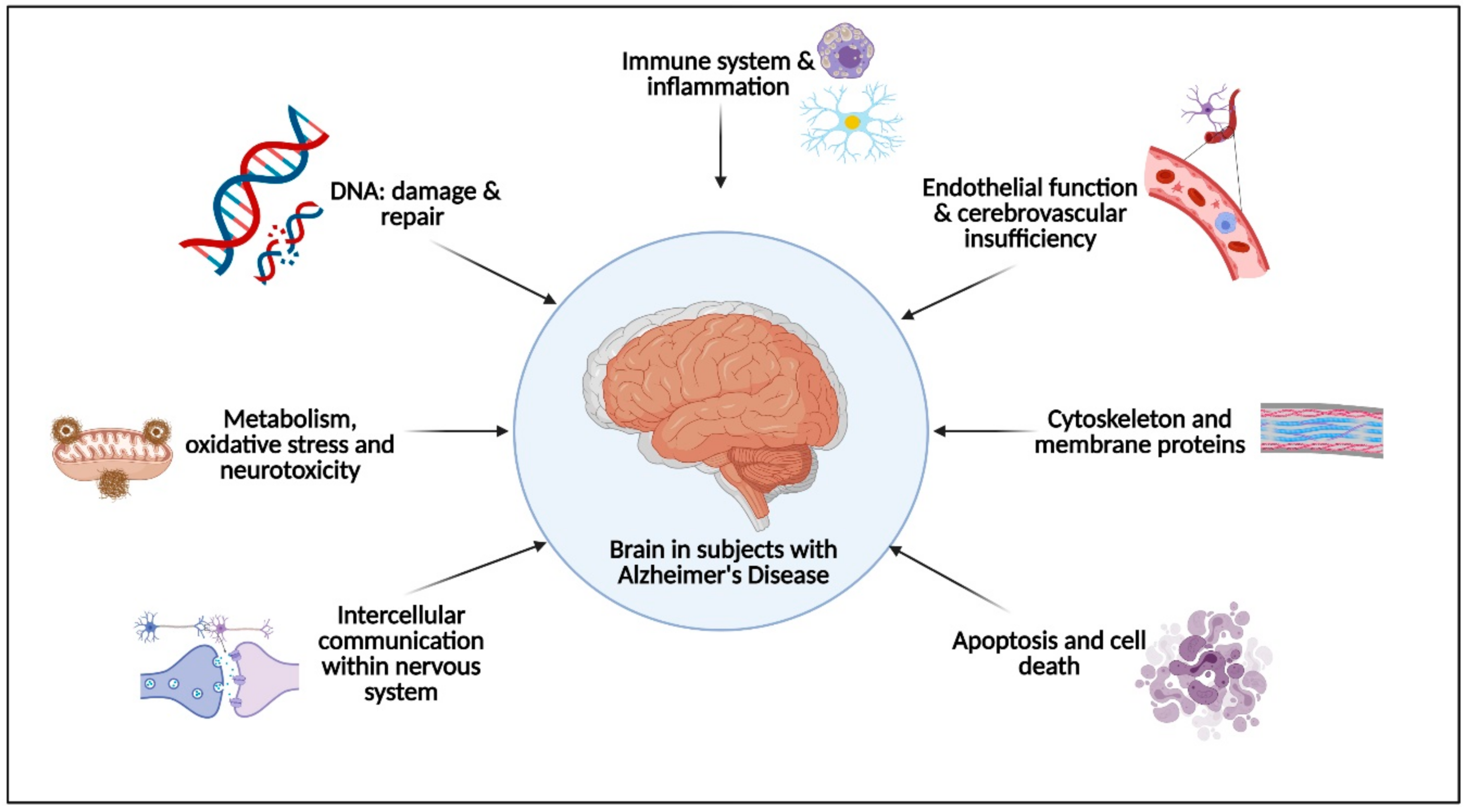 Toward Noninvasive Brain Stimulation In Alzheimer's Disease, 50% OFF