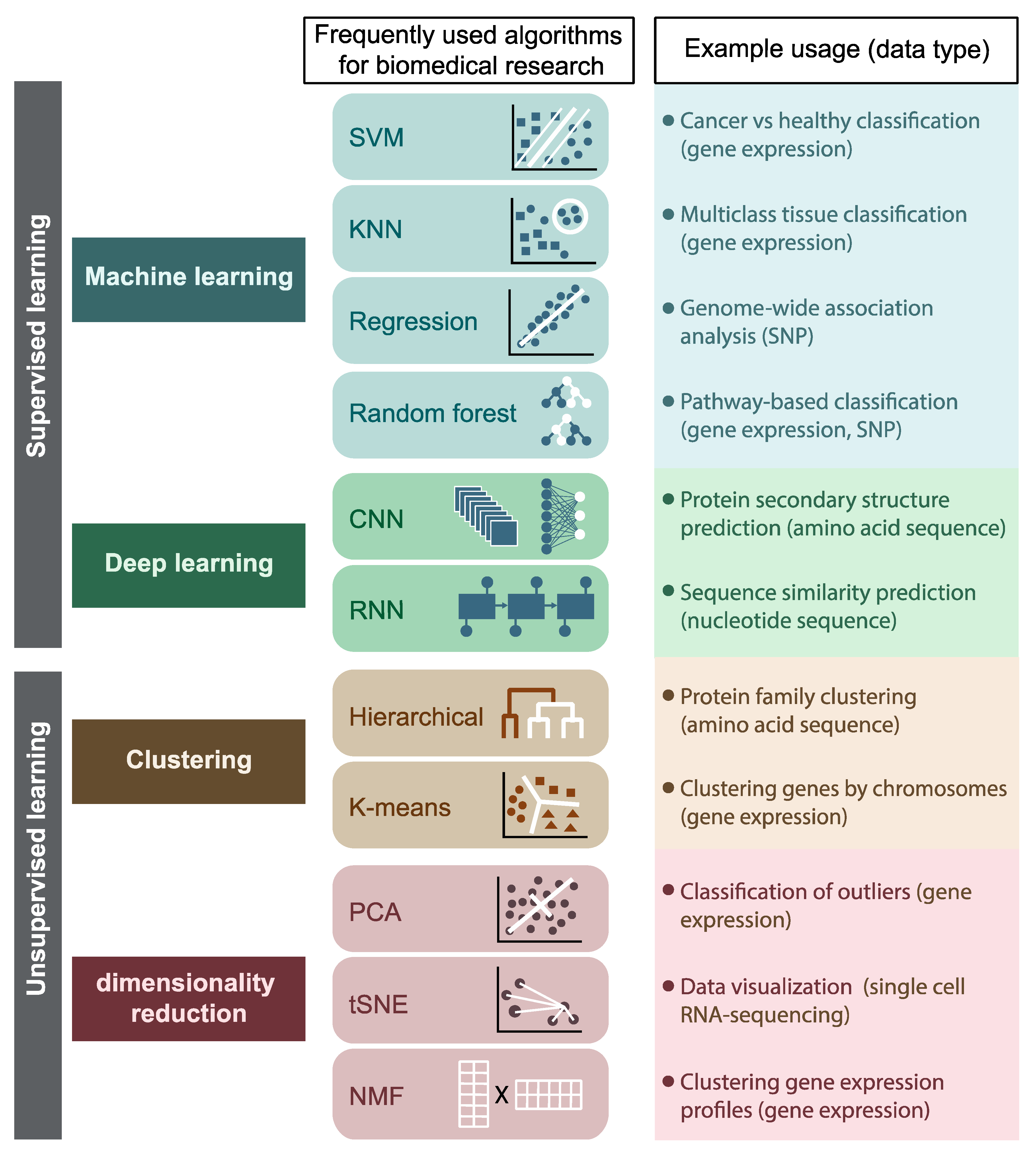 Protein Sequencing with Artificial Intelligence: Machine Learning