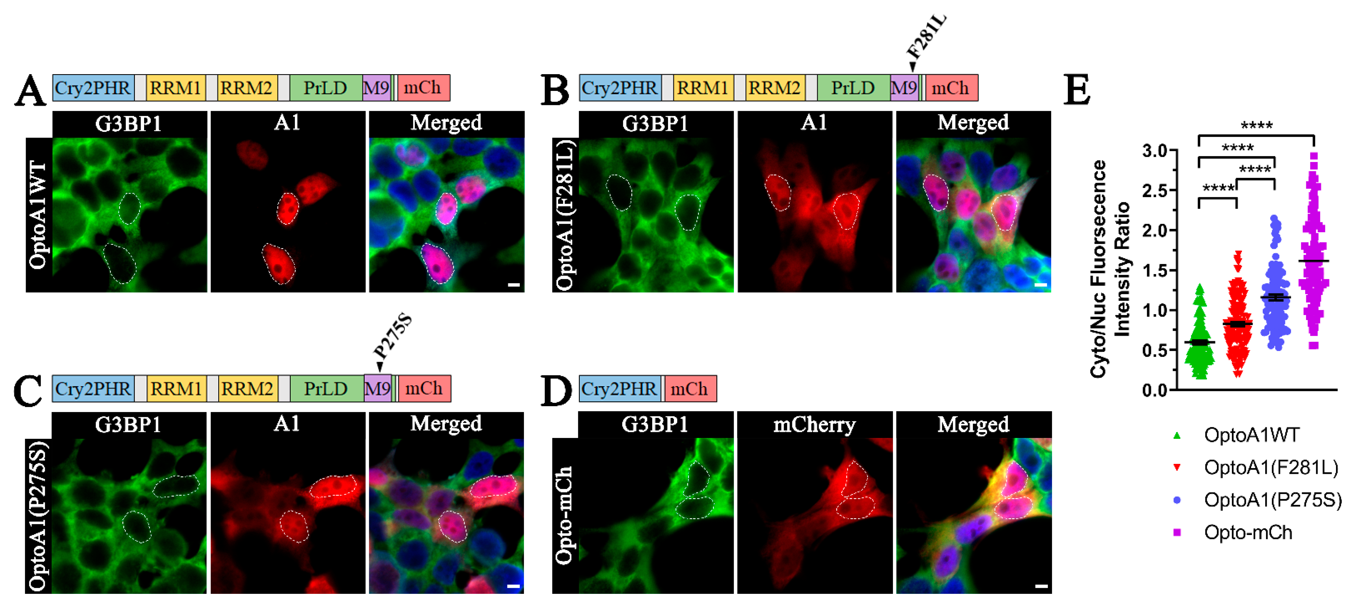 Ijms 22 02909 g001 Ijms 22 02909 g001