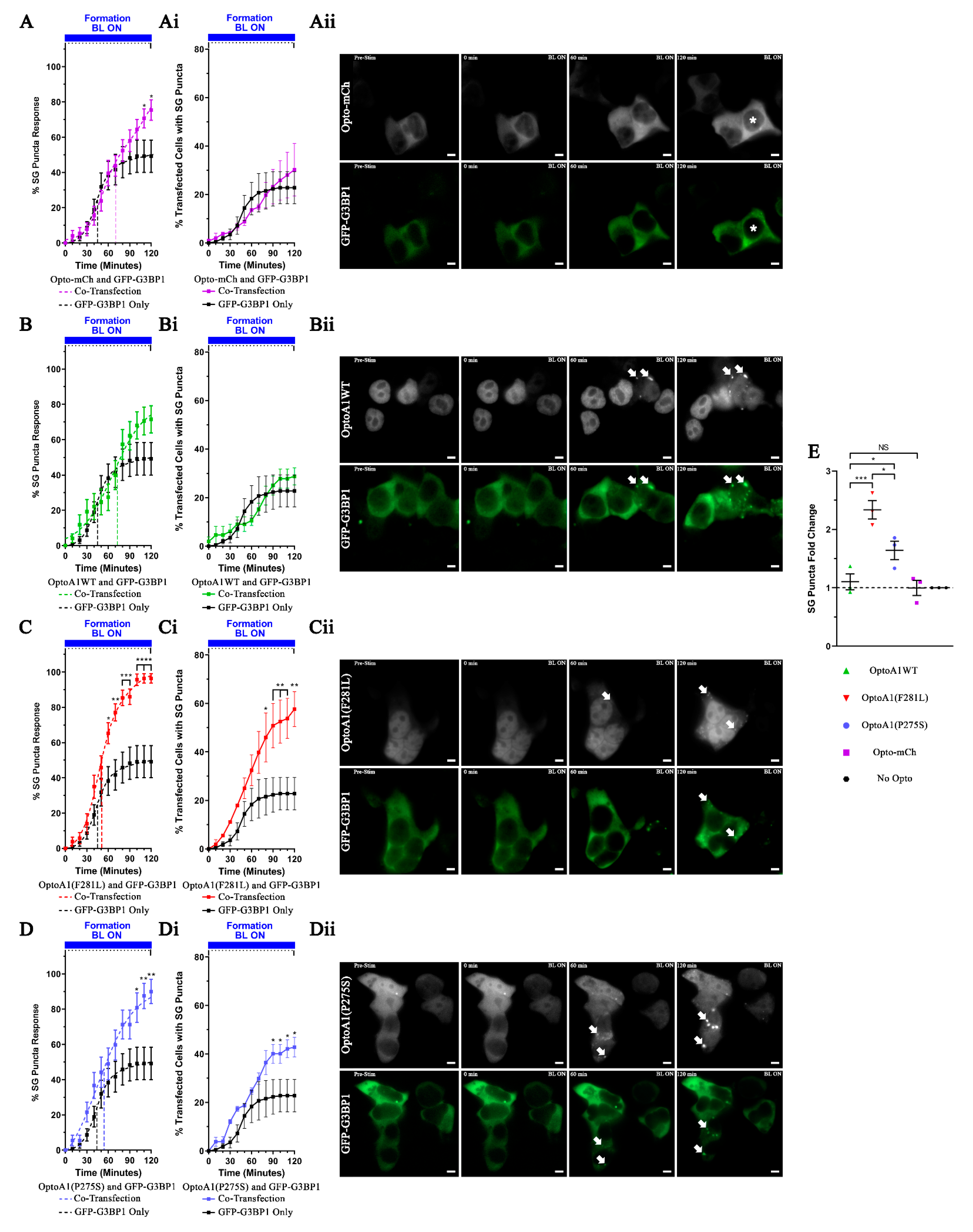 Ijms 22 02909 g005 Ijms 22 02909 g005