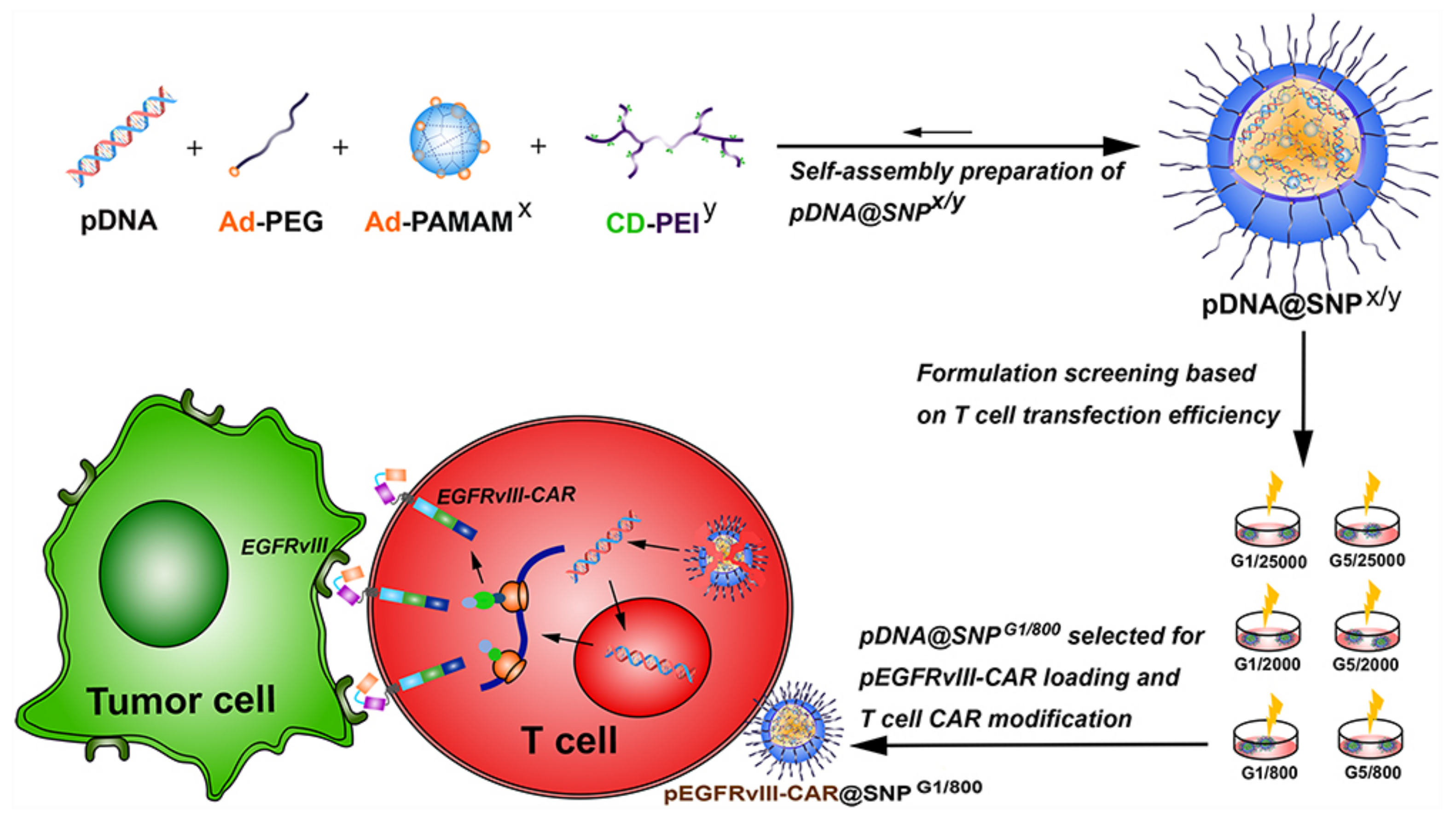 Ijms 22 02912 g007 Ijms 22 02912 g007