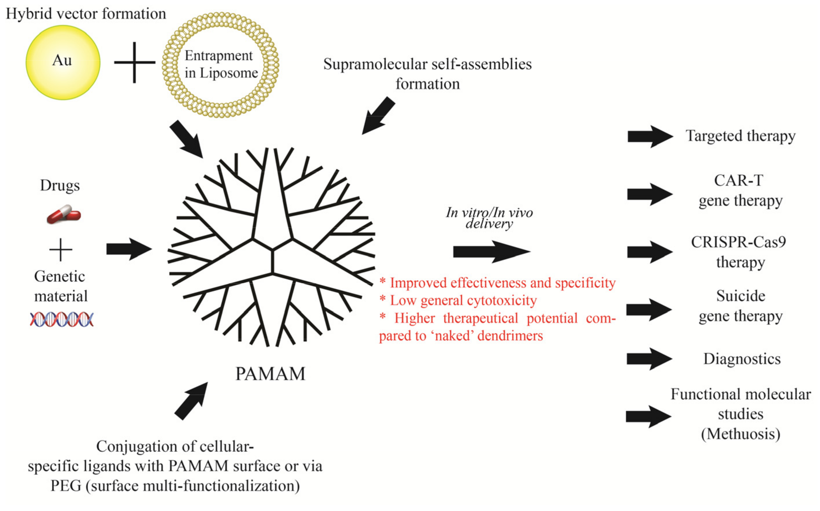 Ijms 22 02912 g009 Ijms 22 02912 g009