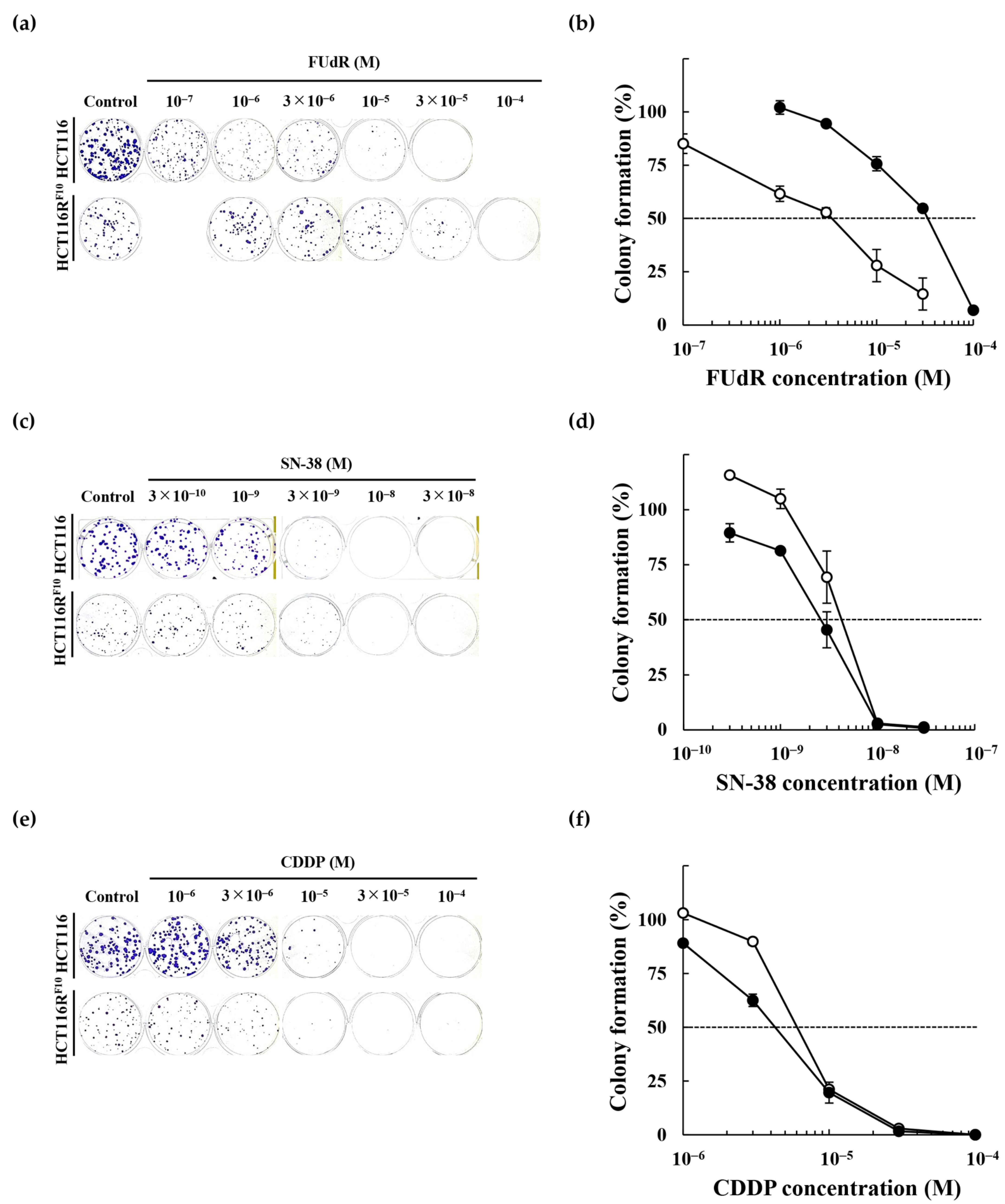 Ijms 22 02916 g003 Ijms 22 02916 g003