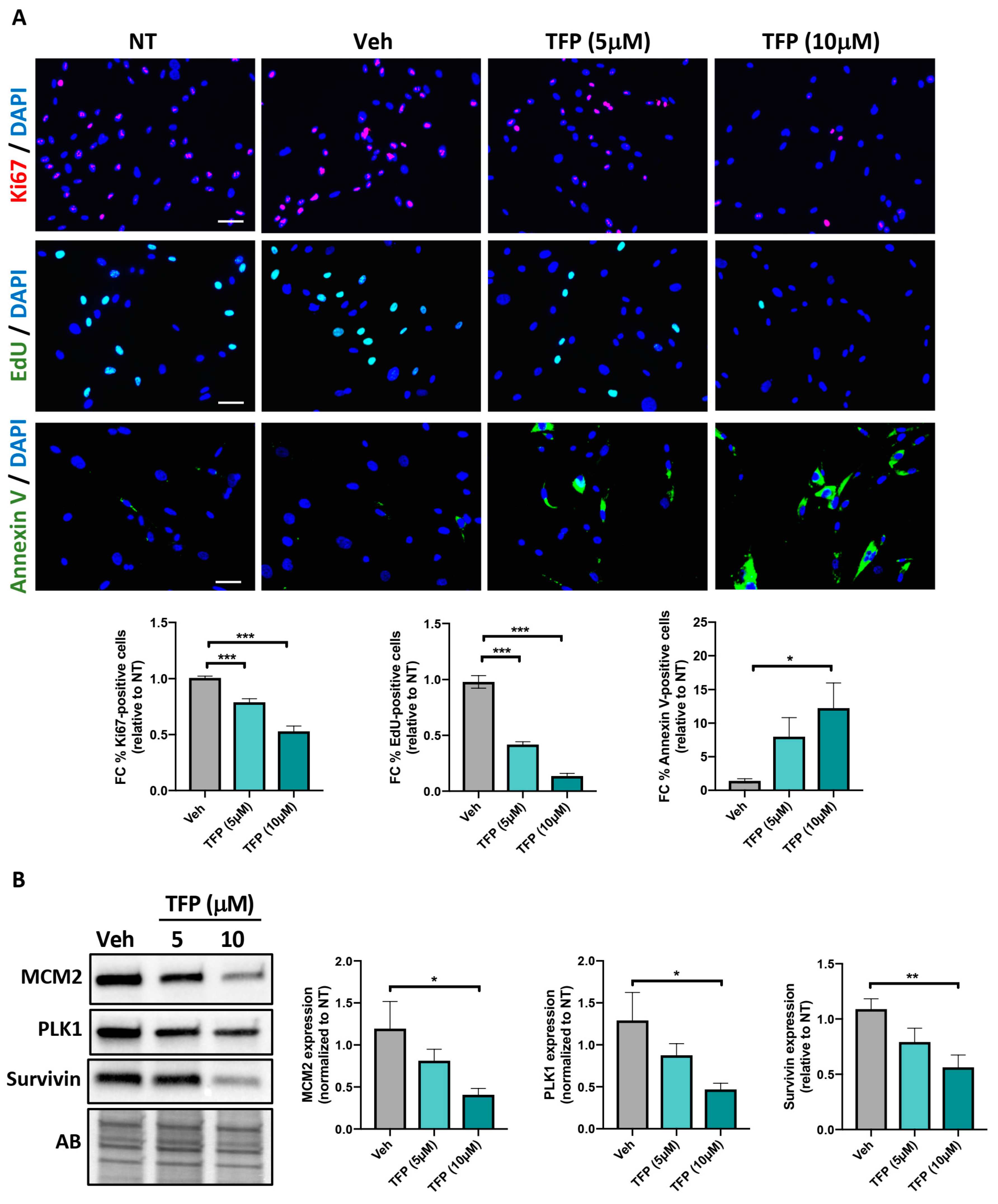 Ijms 22 02919 g001 Ijms 22 02919 g001