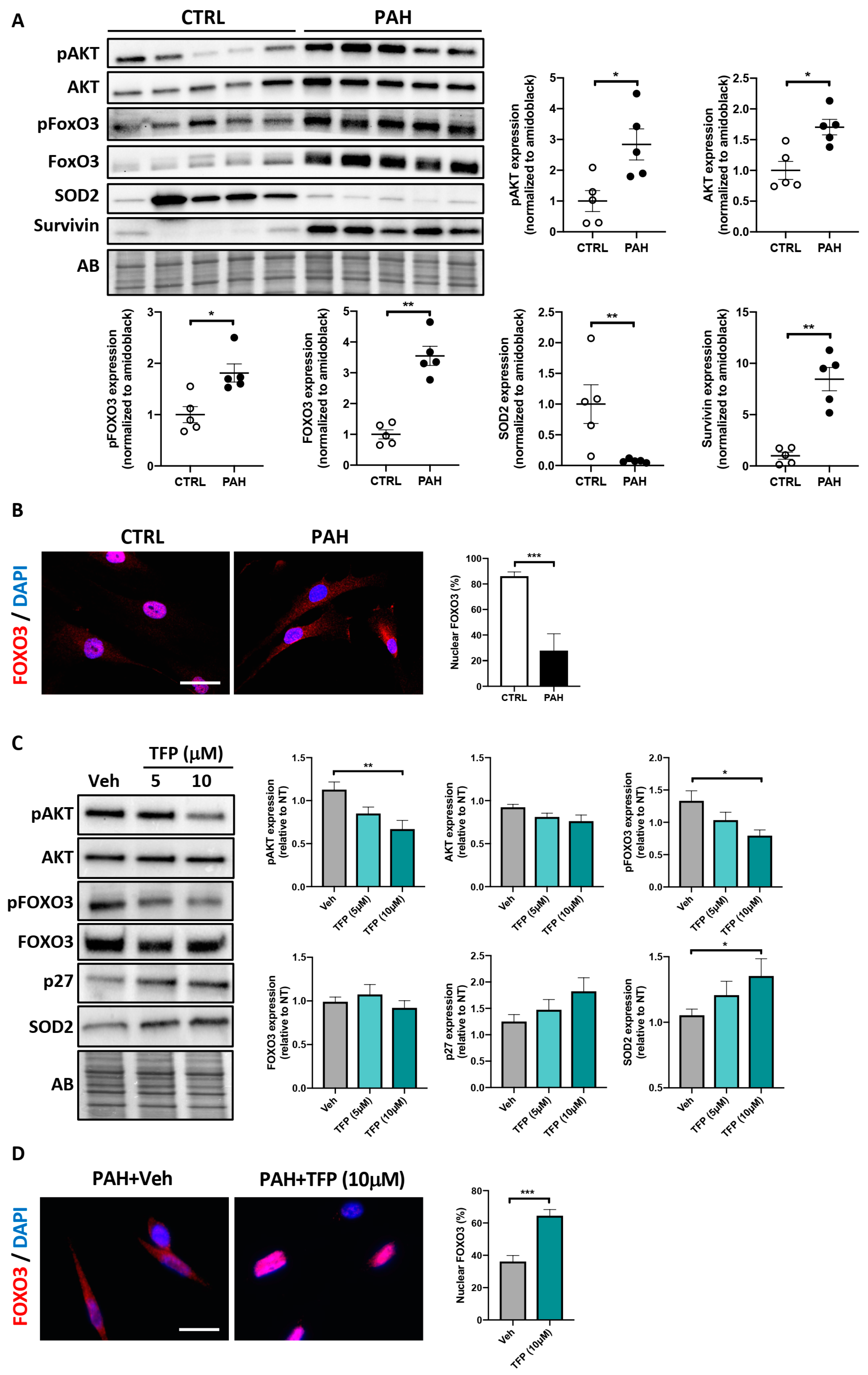 Ijms 22 02919 g002 Ijms 22 02919 g002