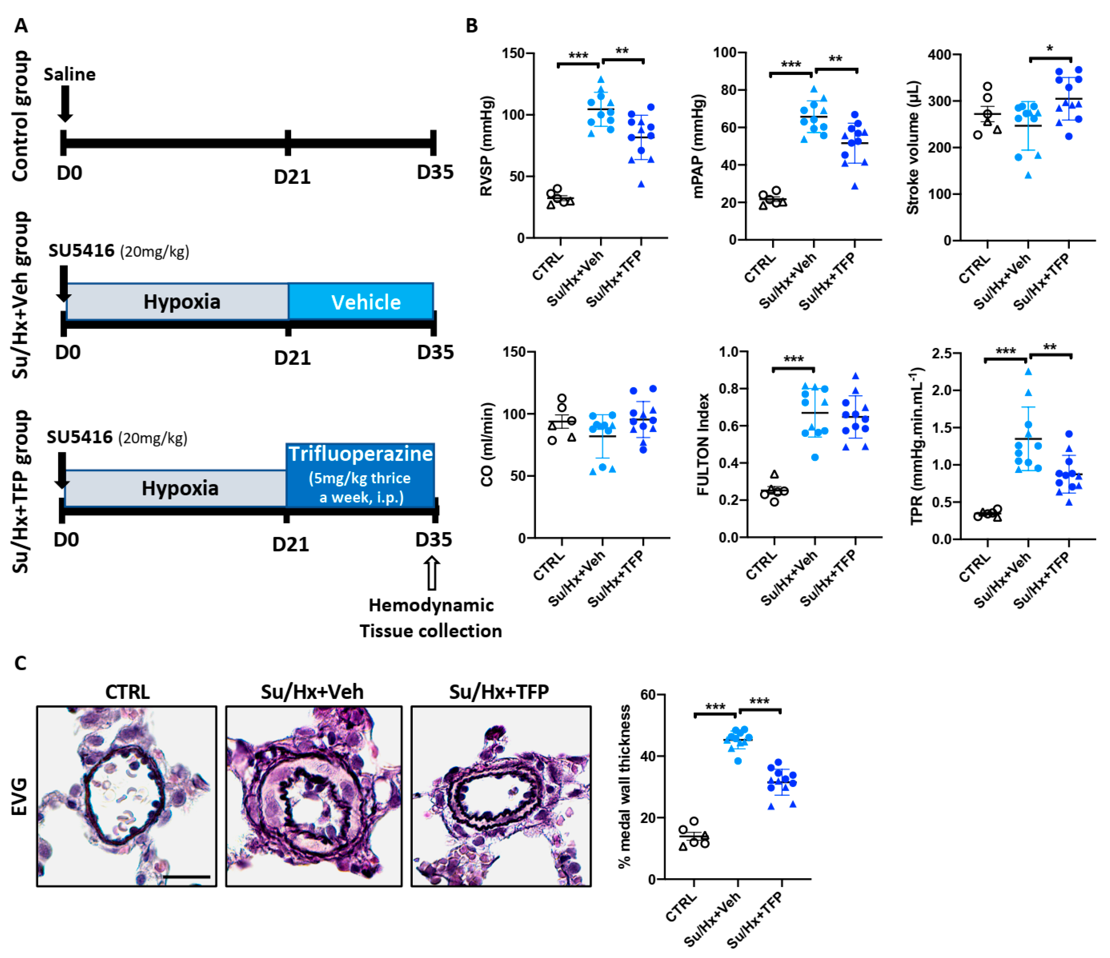 Ijms 22 02919 g005 Ijms 22 02919 g005