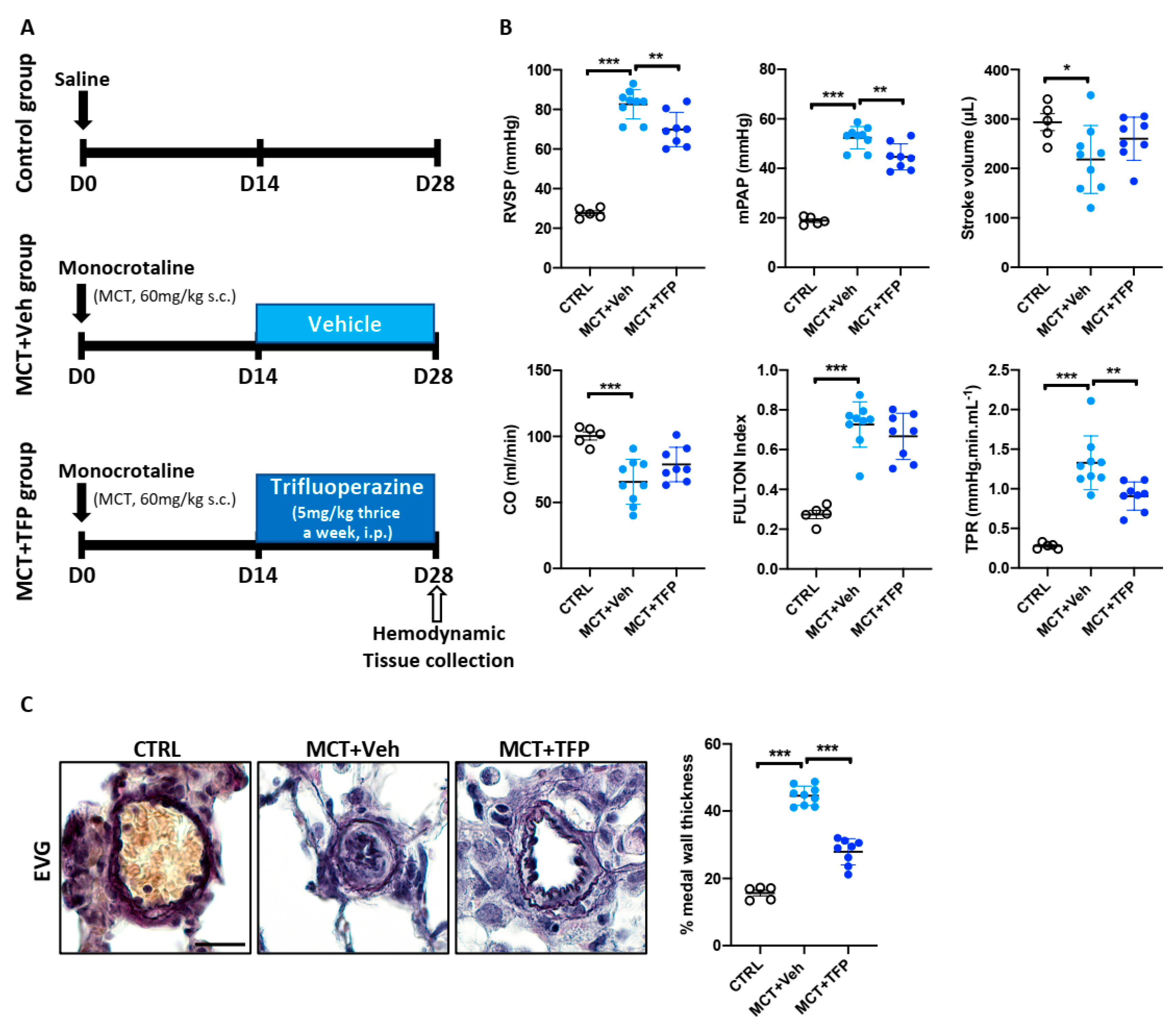 Ijms 22 02919 g006 Ijms 22 02919 g006