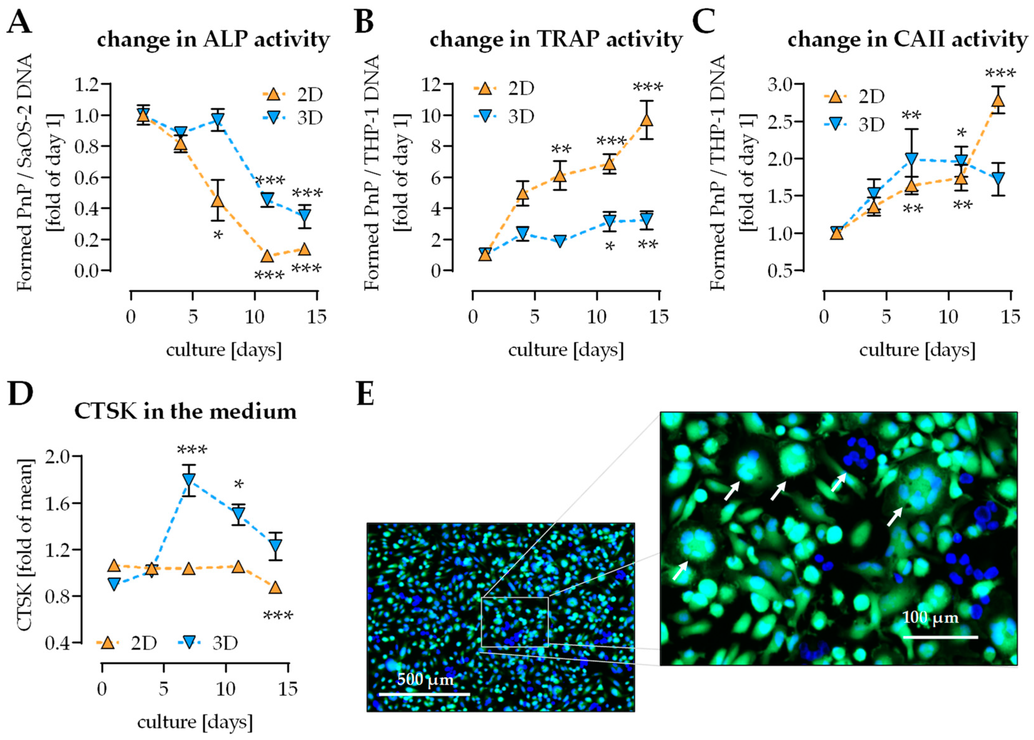 Ijms 22 02925 g002 Ijms 22 02925 g002