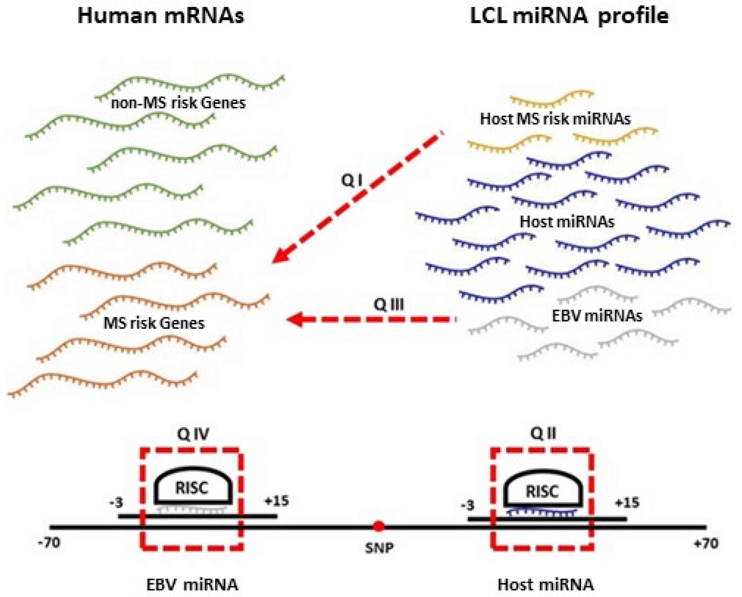 Ijms 22 02927 g001 Ijms 22 02927 g001