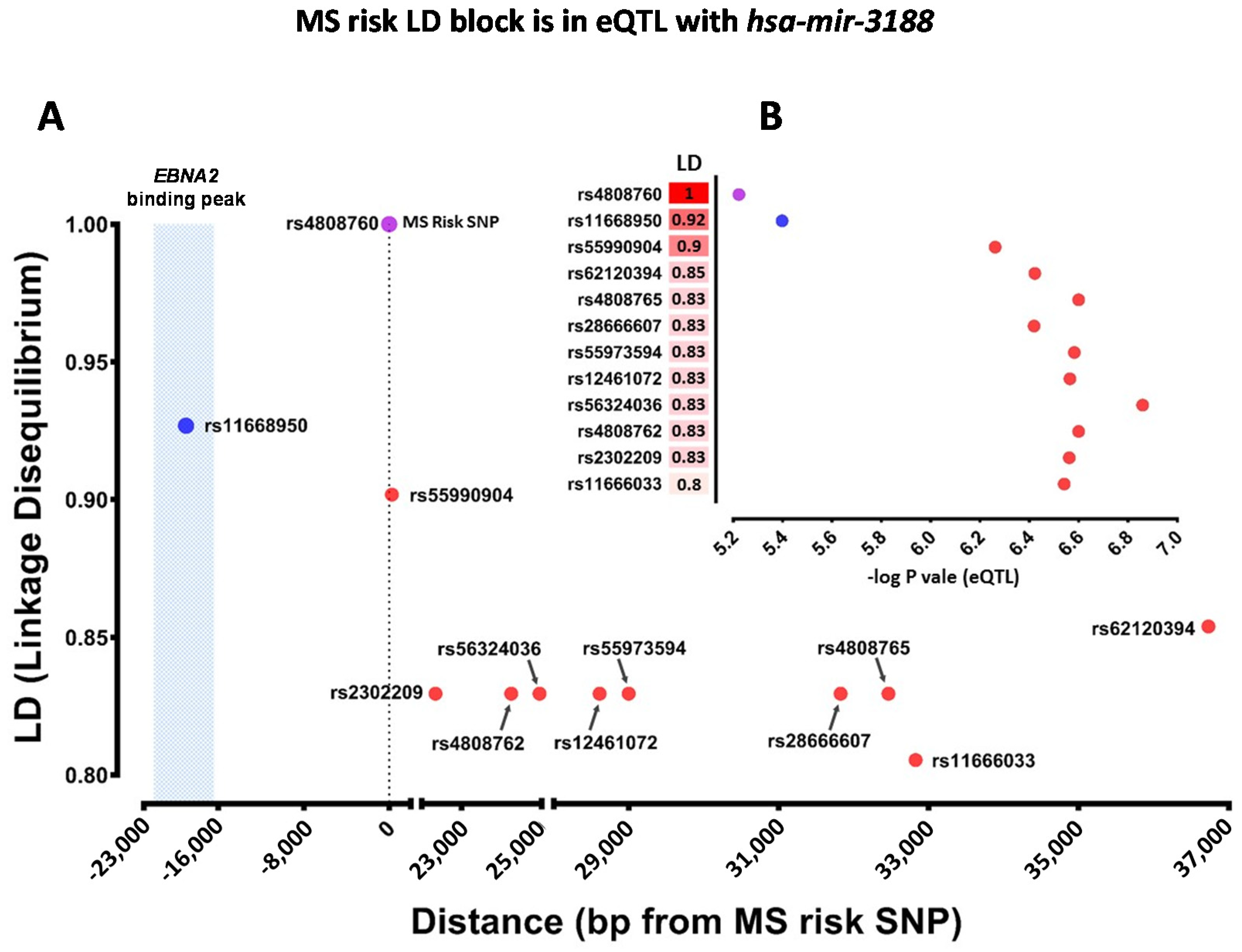 Ijms 22 02927 g002 Ijms 22 02927 g002