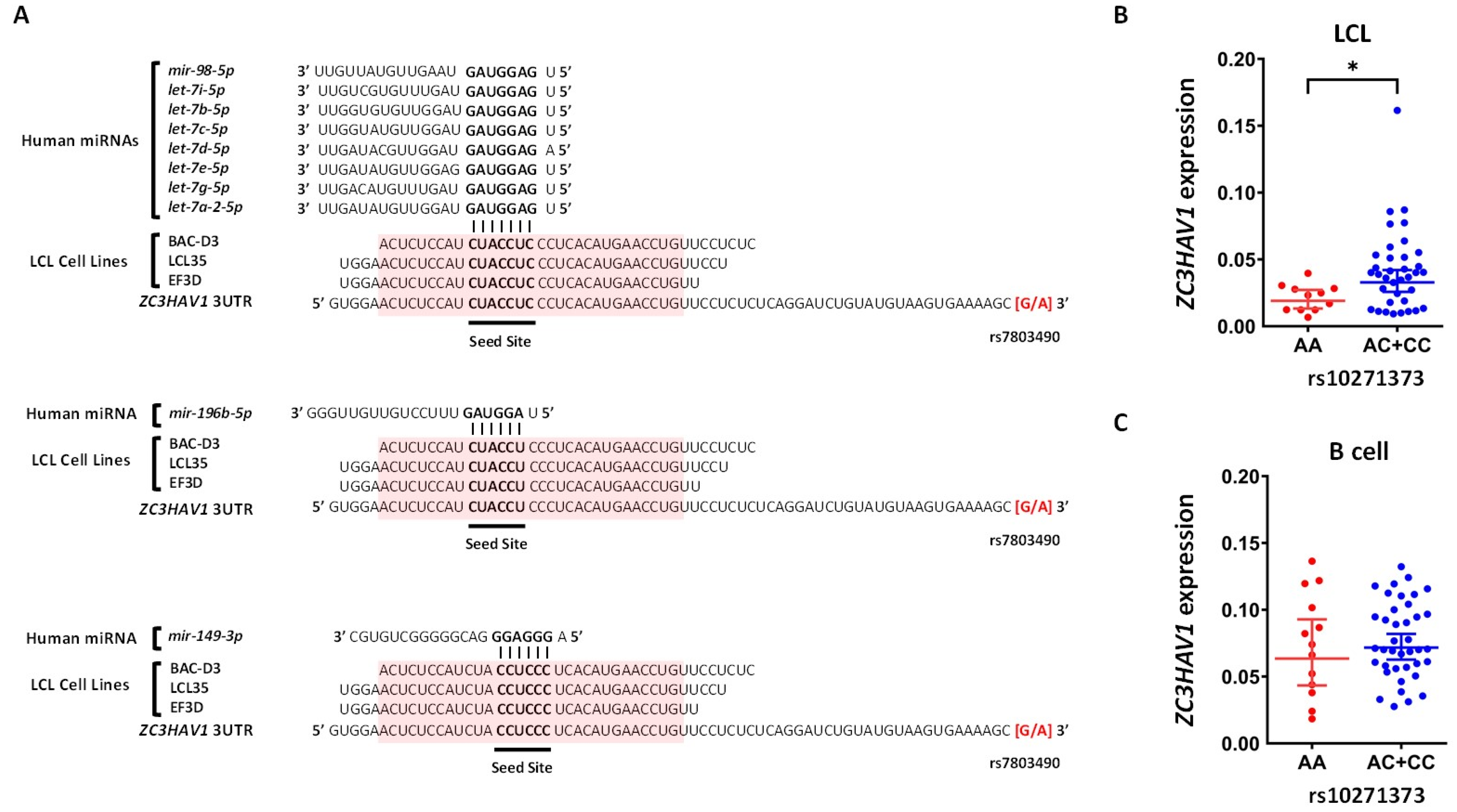 Ijms 22 02927 g006 Ijms 22 02927 g006