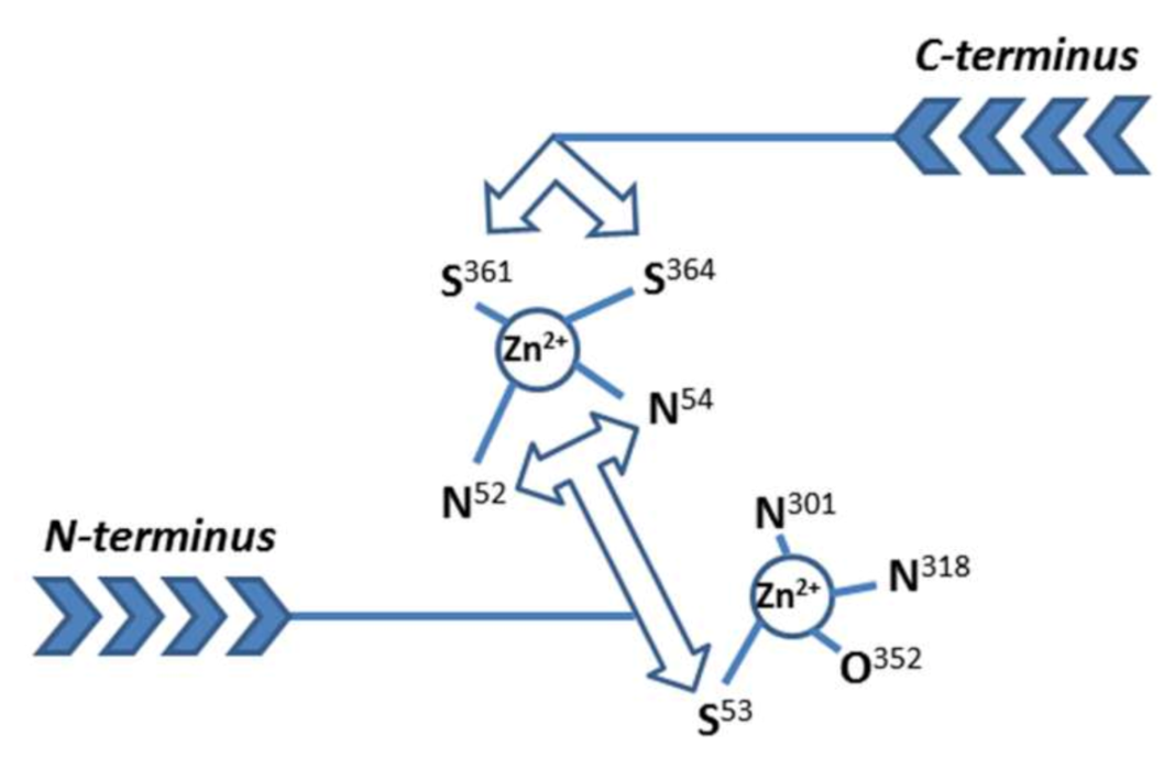 Ijms 22 02940 g008 Ijms 22 02940 g008