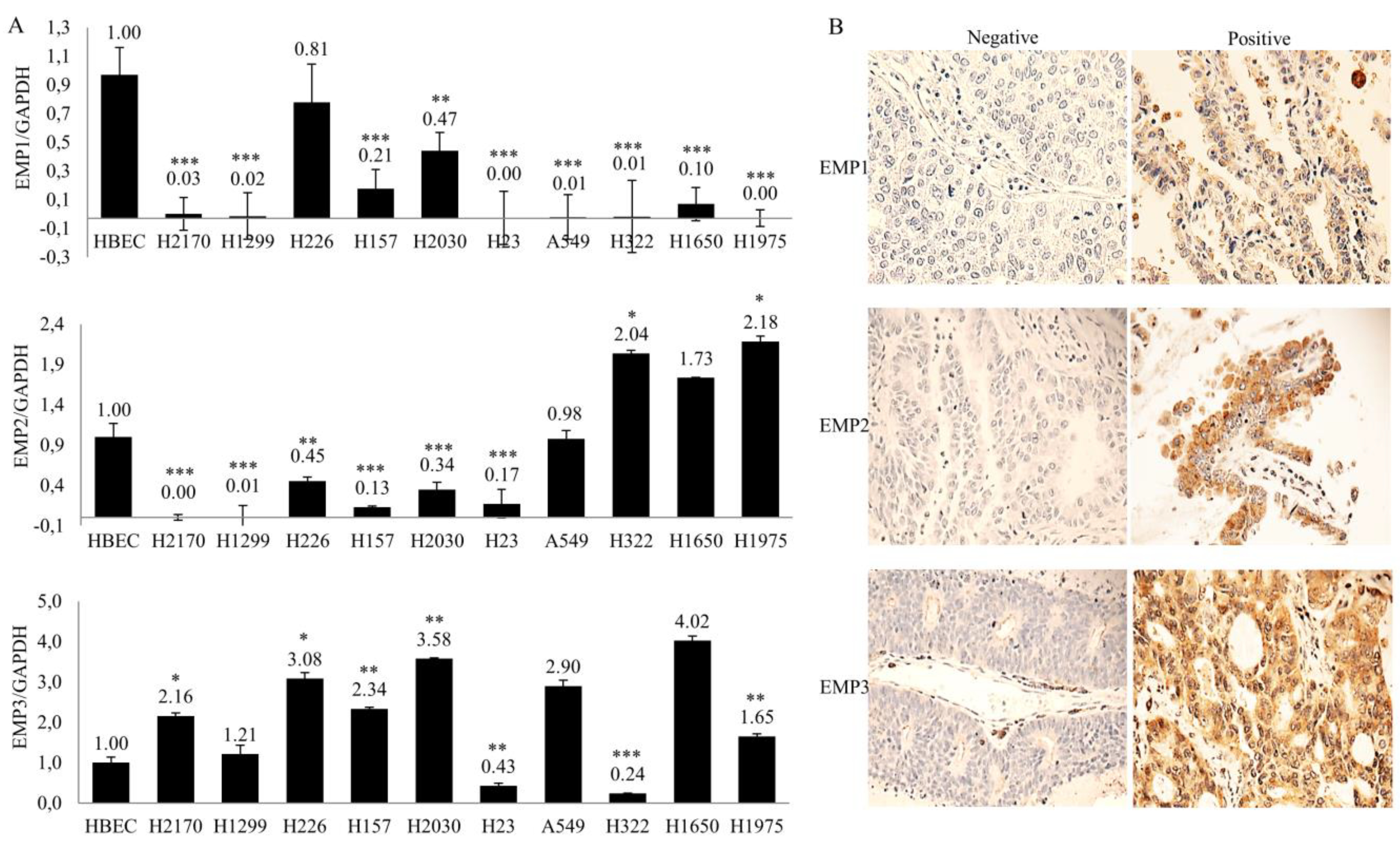 Ijms 22 02944 g001 Ijms 22 02944 g001