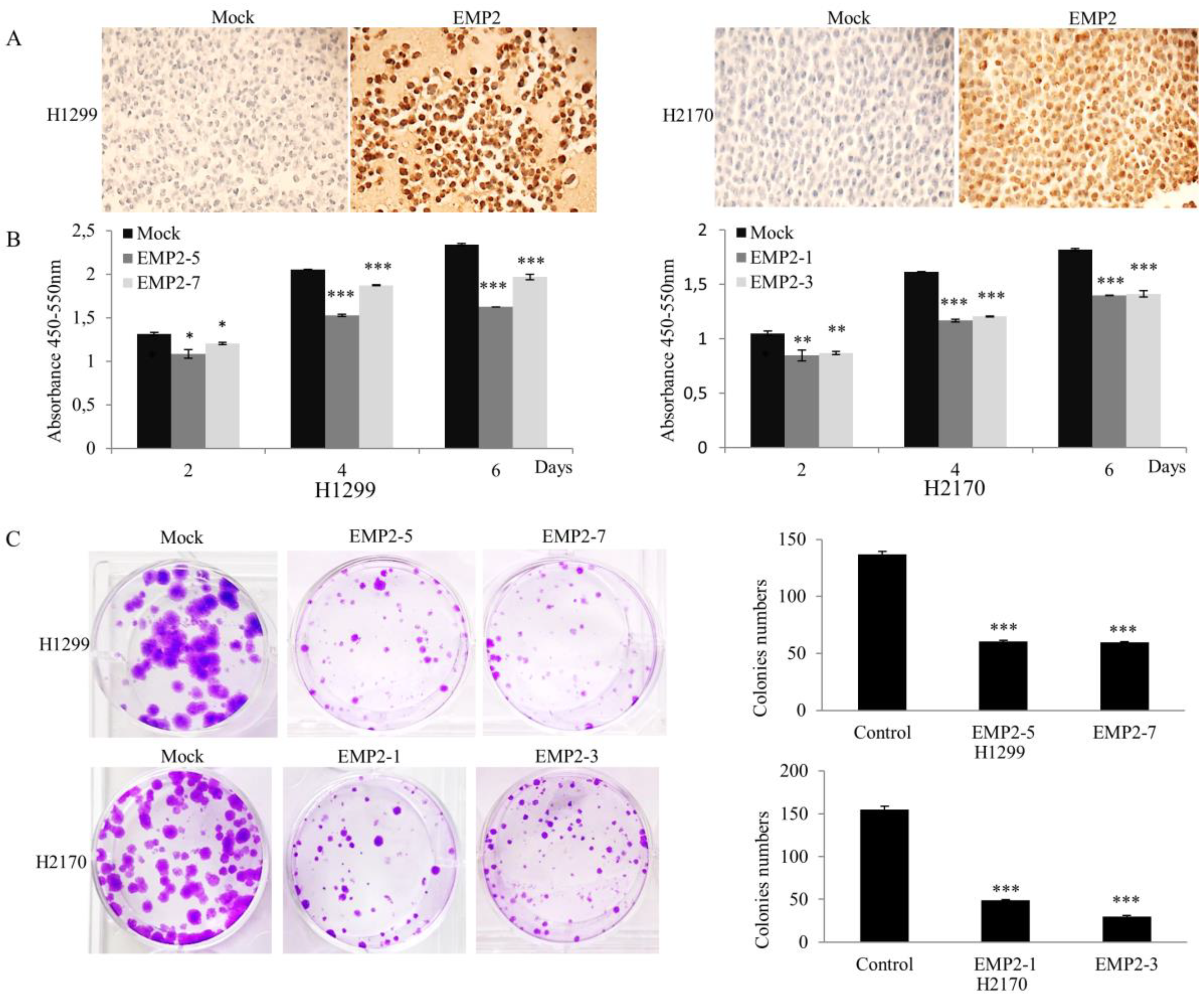 Ijms 22 02944 g002 Ijms 22 02944 g002