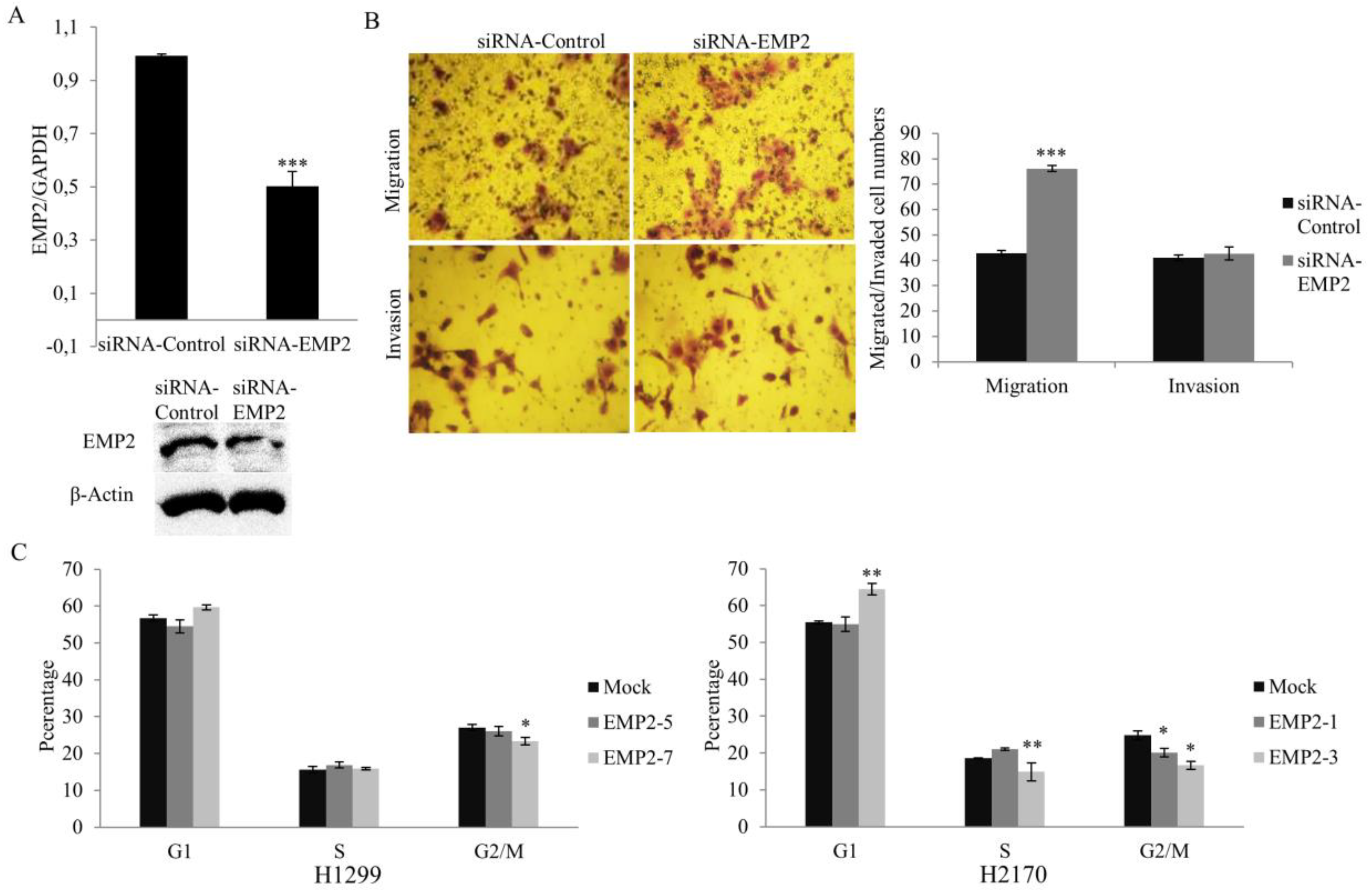 Ijms 22 02944 g004 Ijms 22 02944 g004