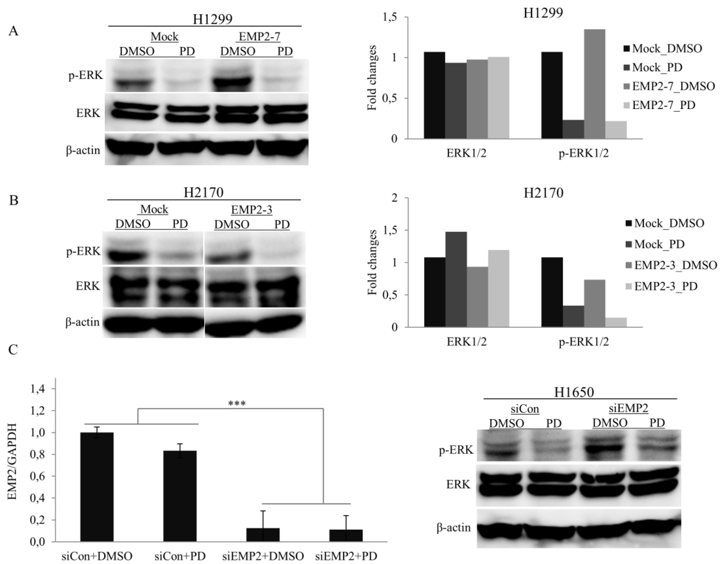 Ijms 22 02944 g006 Ijms 22 02944 g006