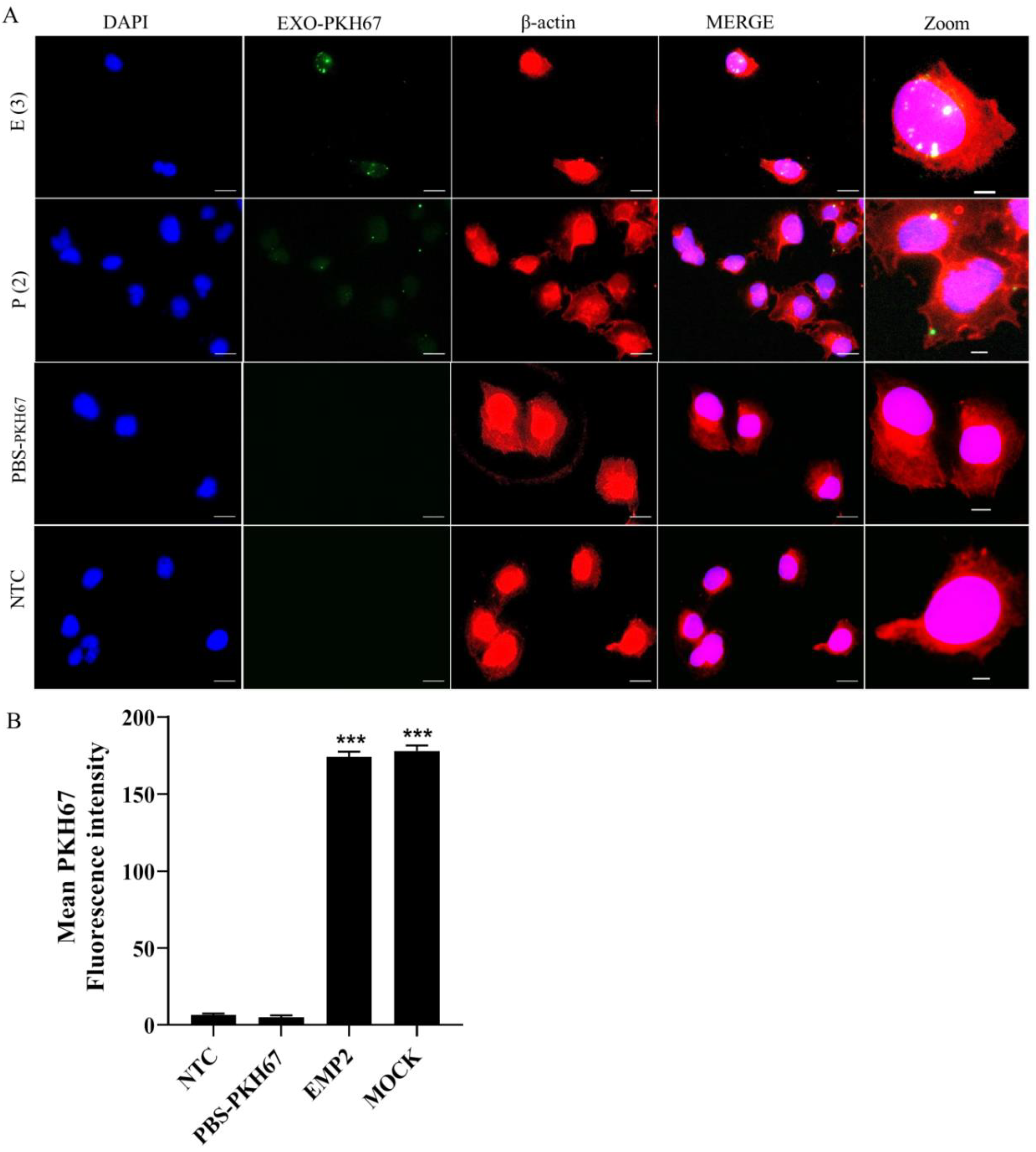 Ijms 22 02944 g008 Ijms 22 02944 g008